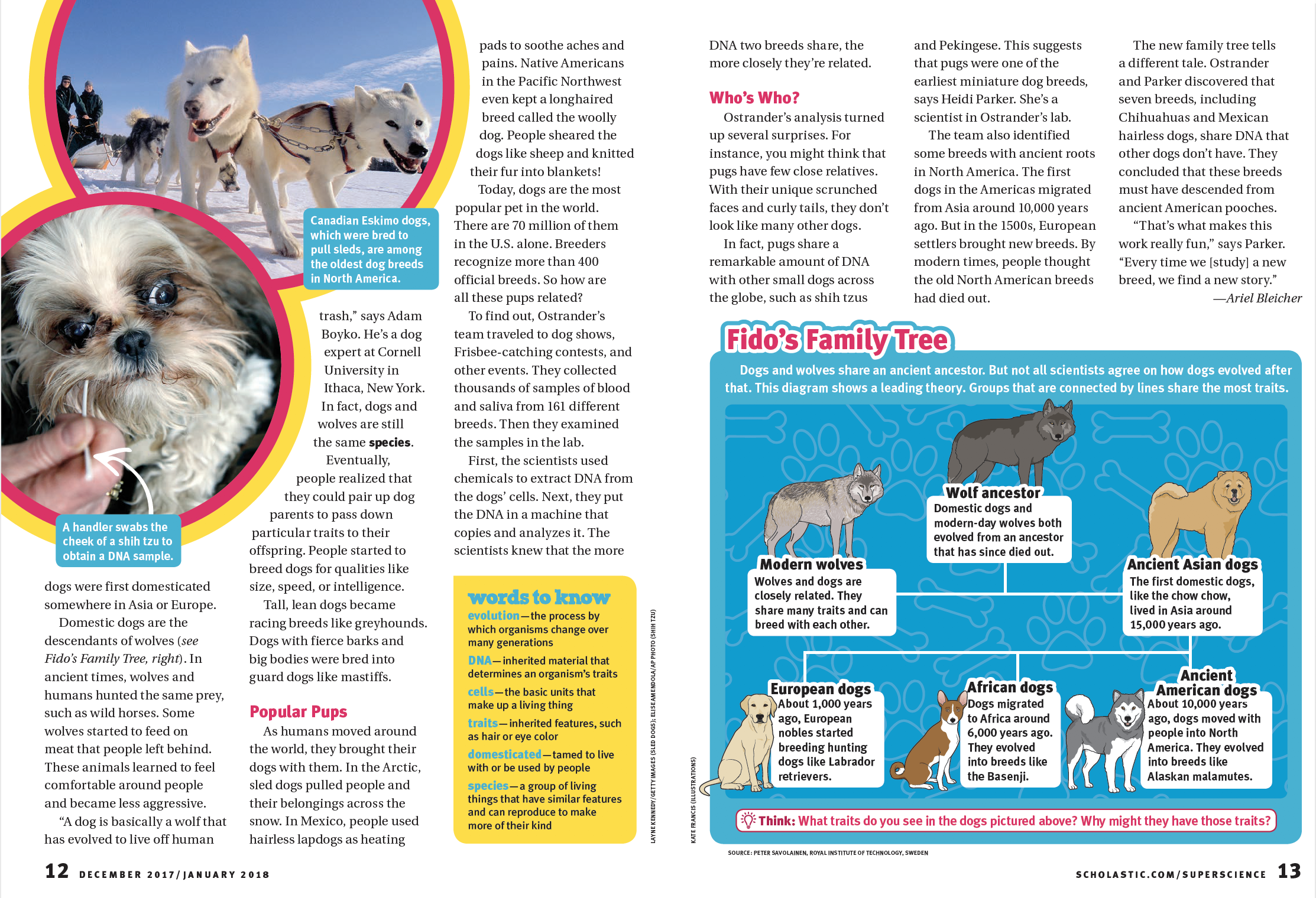 Screen Shot 2022-06-16 at 7.20.16 PM.png