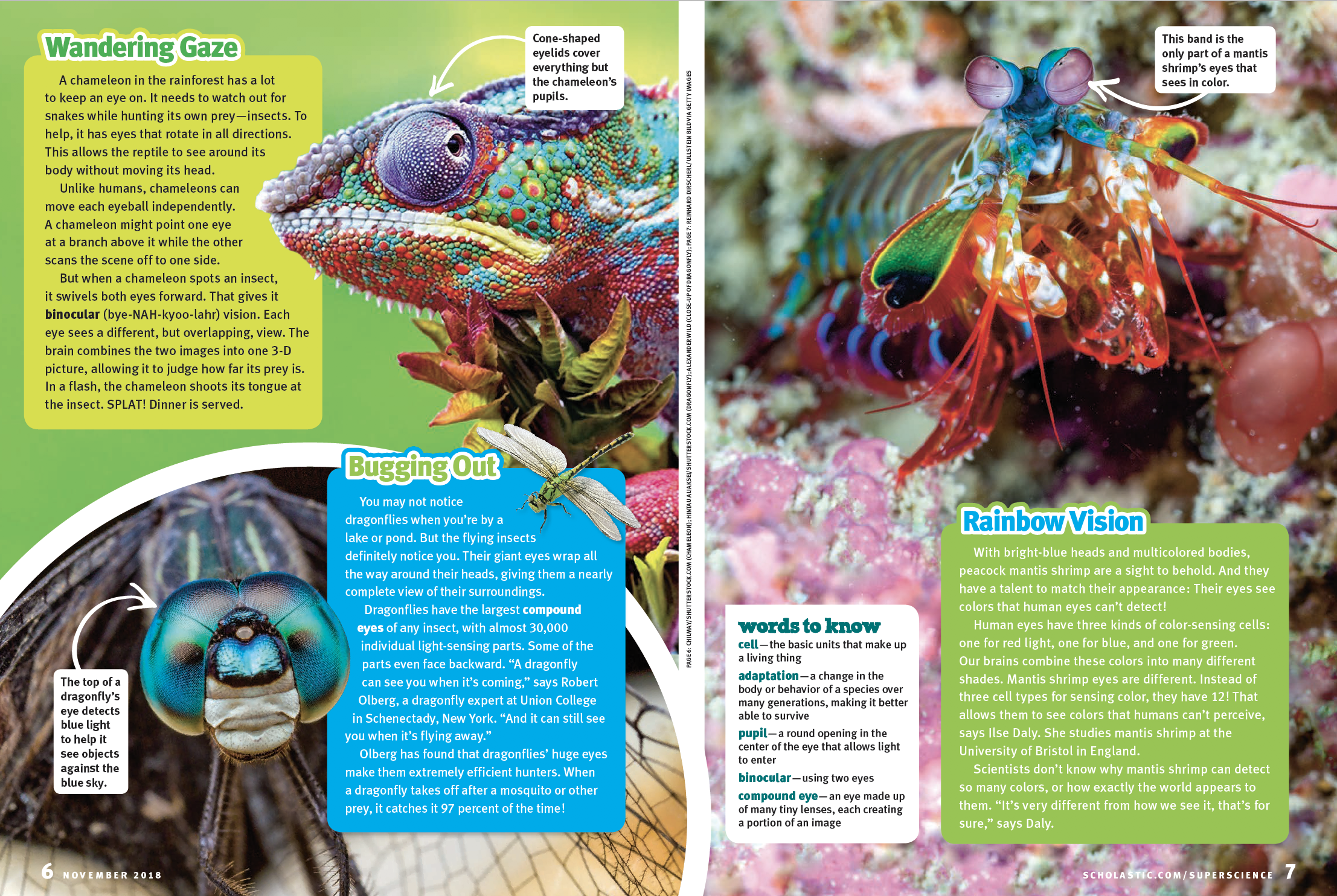 Screen Shot 2022-06-16 at 7.29.46 PM.png