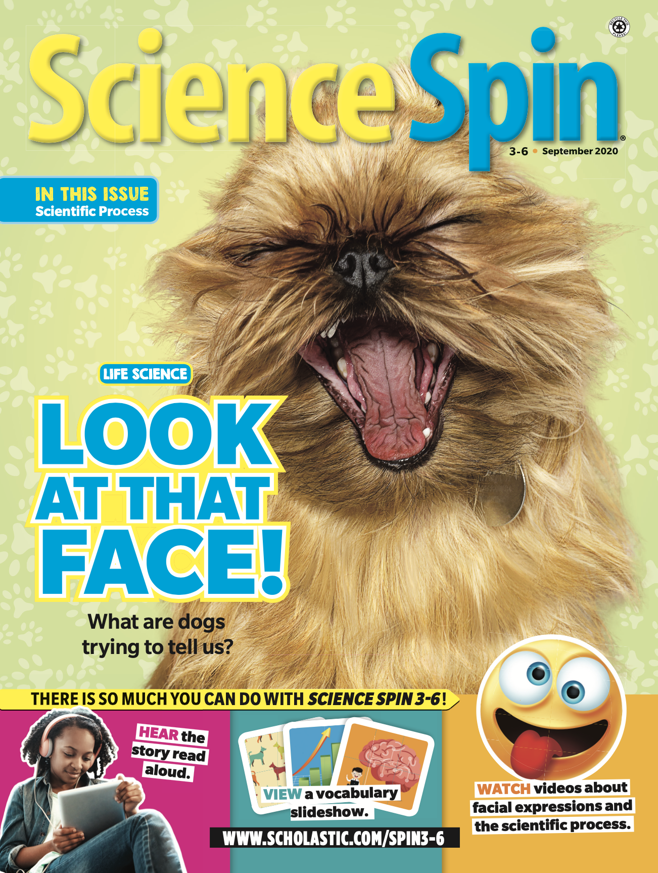 Screen Shot 2022-06-16 at 9.15.25 PM.png