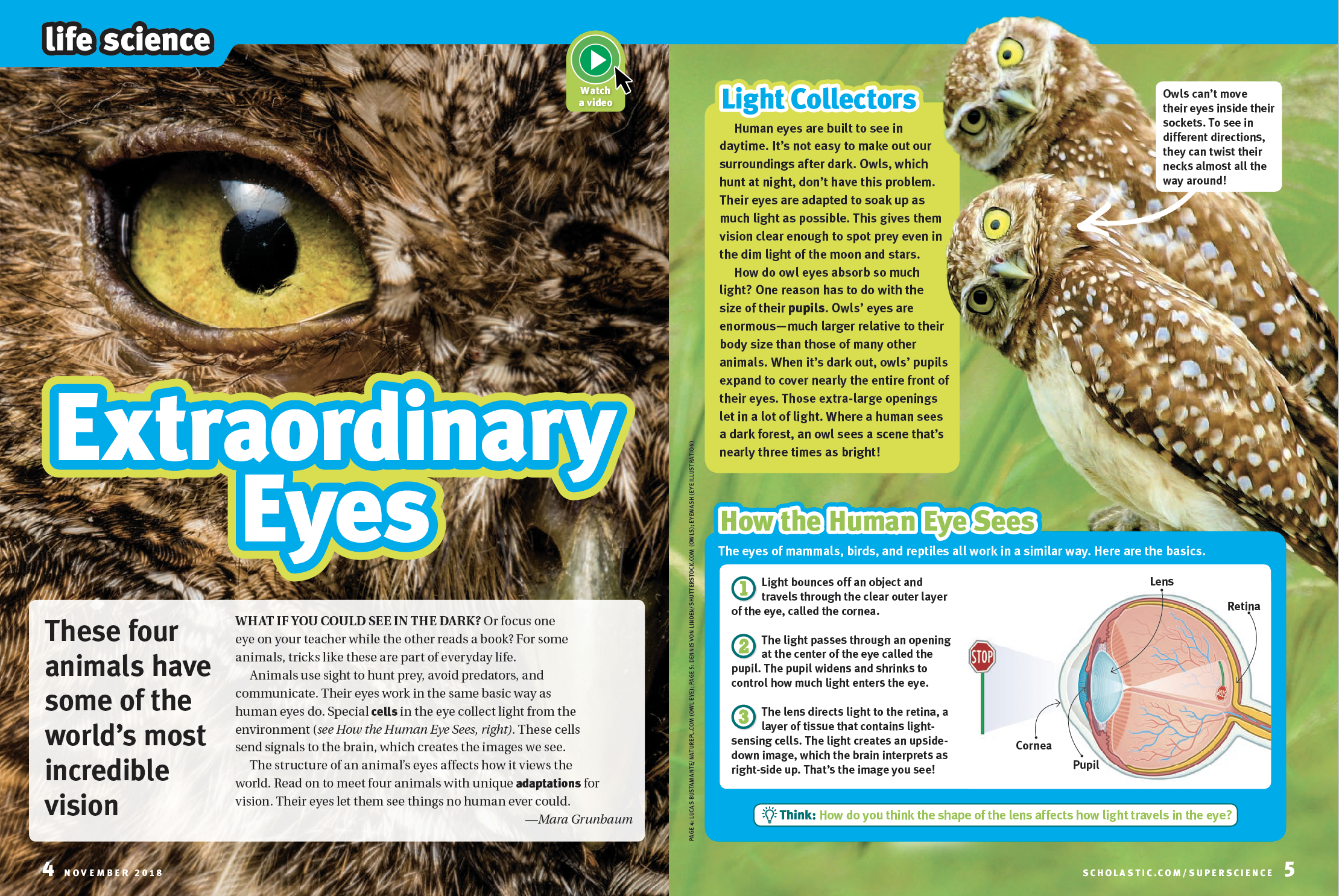 Screen Shot 2022-06-16 at 7.29.30 PM.png