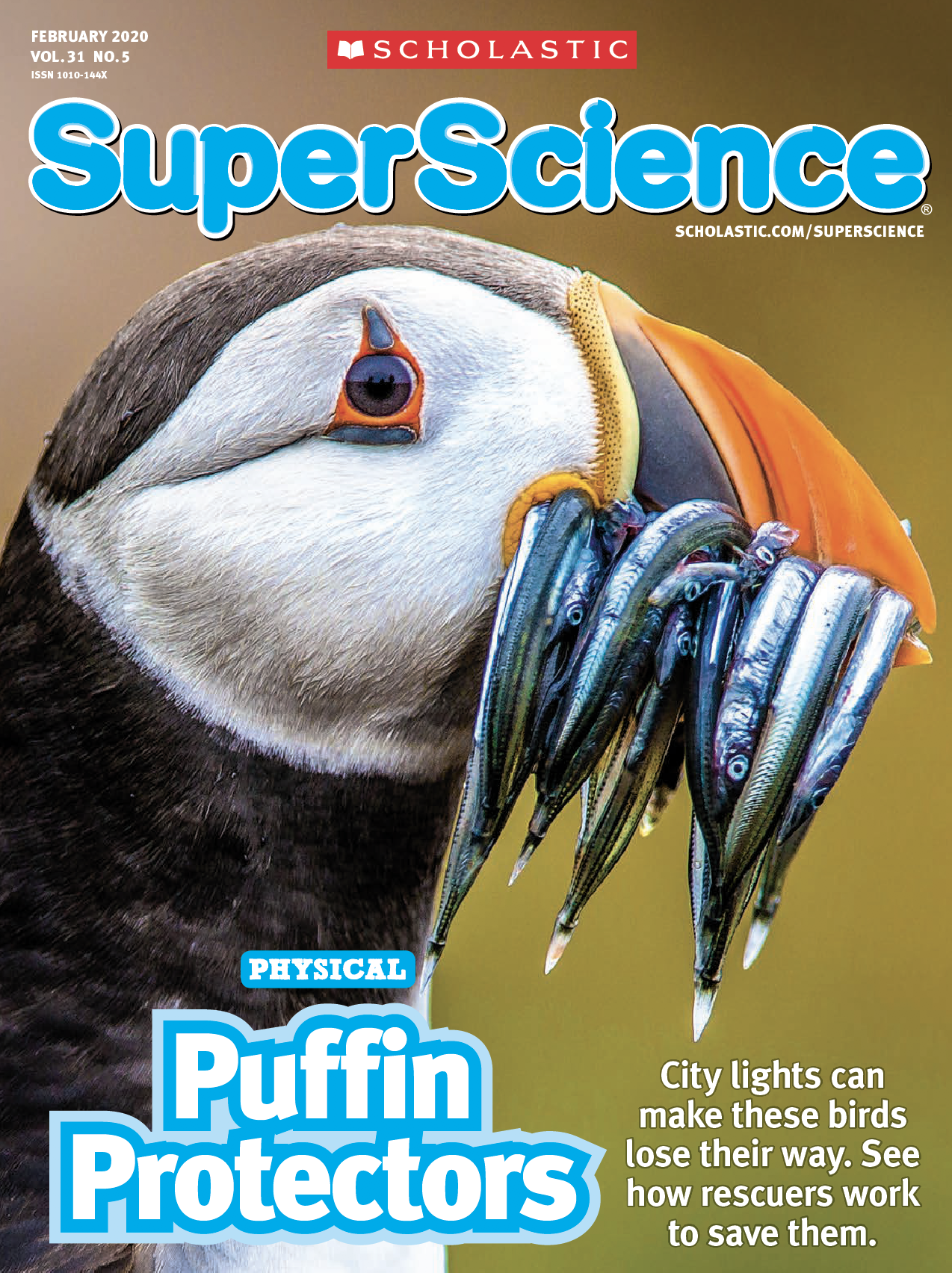 Screen Shot 2022-06-16 at 8.07.30 PM.png