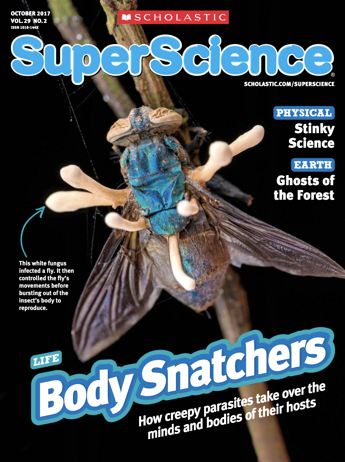 Screen Shot 2022-06-16 at 7.13.52 PM.png