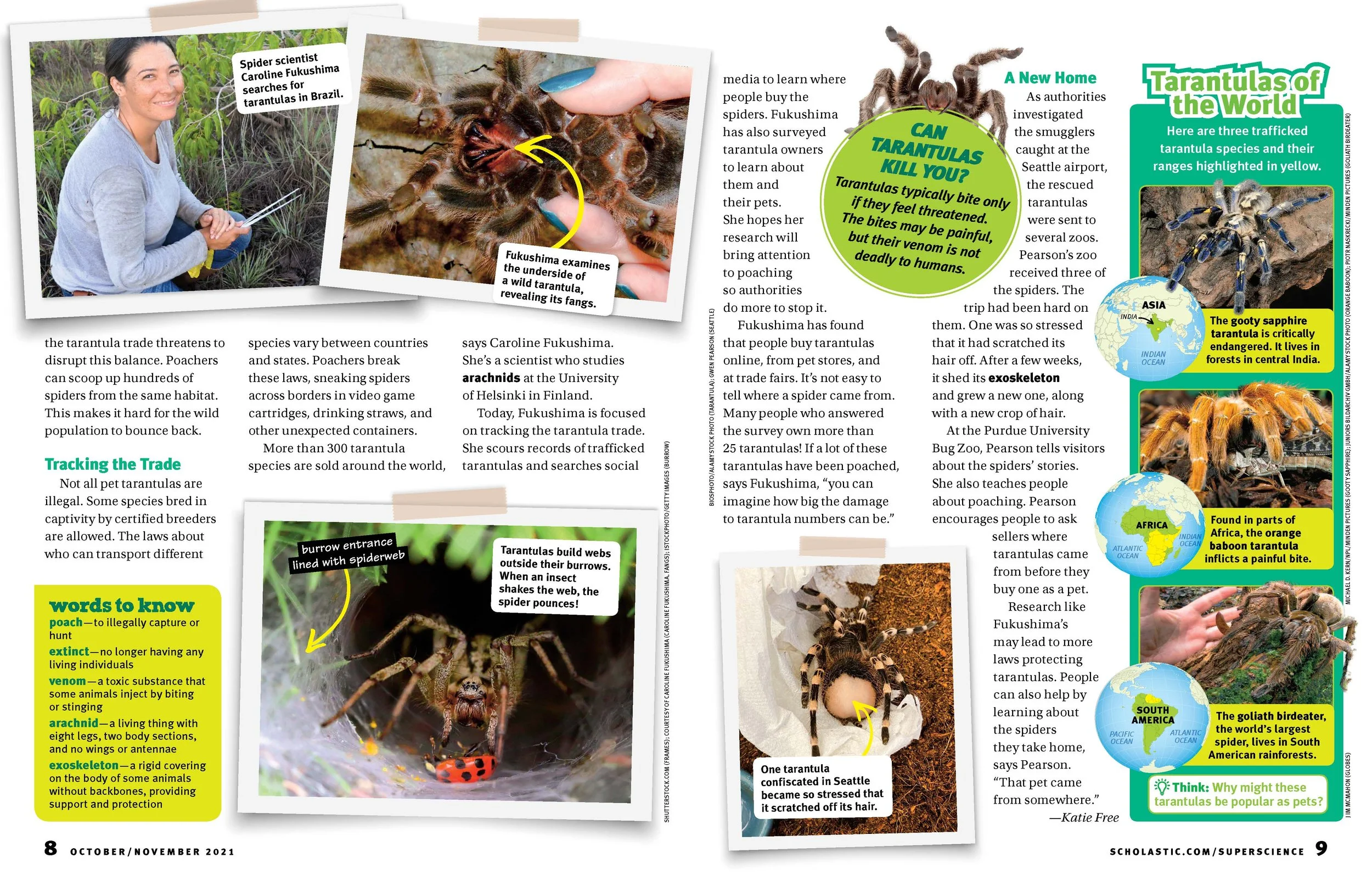 SSC-02-100121-P06-09-Tarantulas-VF_Page_2.jpg