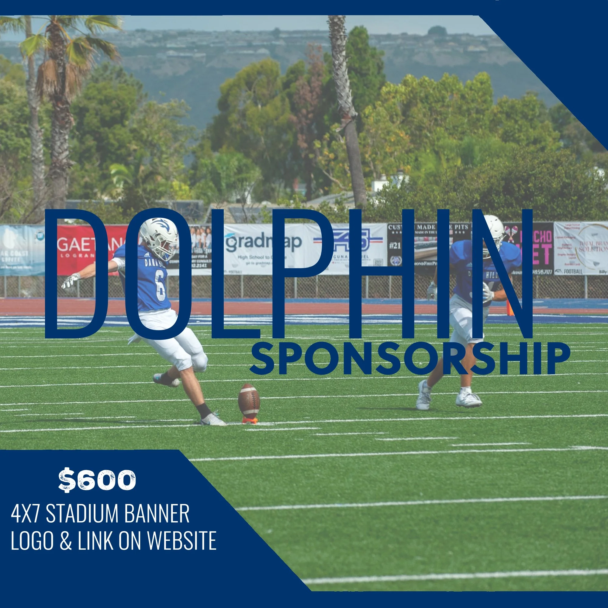 Sponsorship Dolphin Package