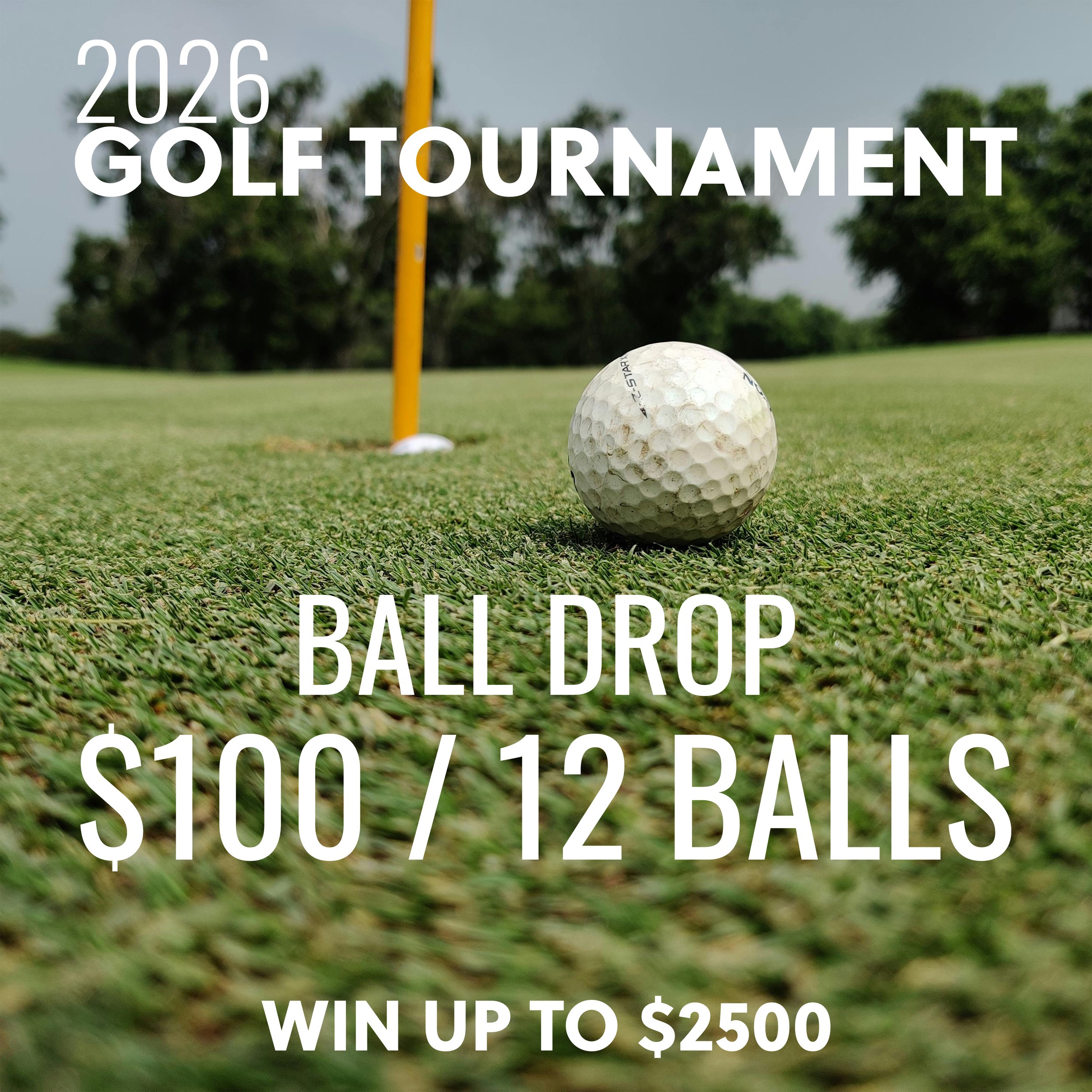 Dolphin Classic Ball Drop - 12 Balls