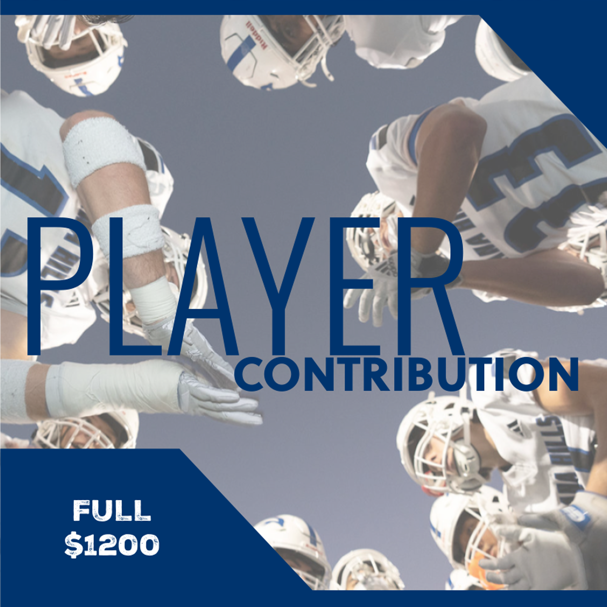 Player Contribution - One Year