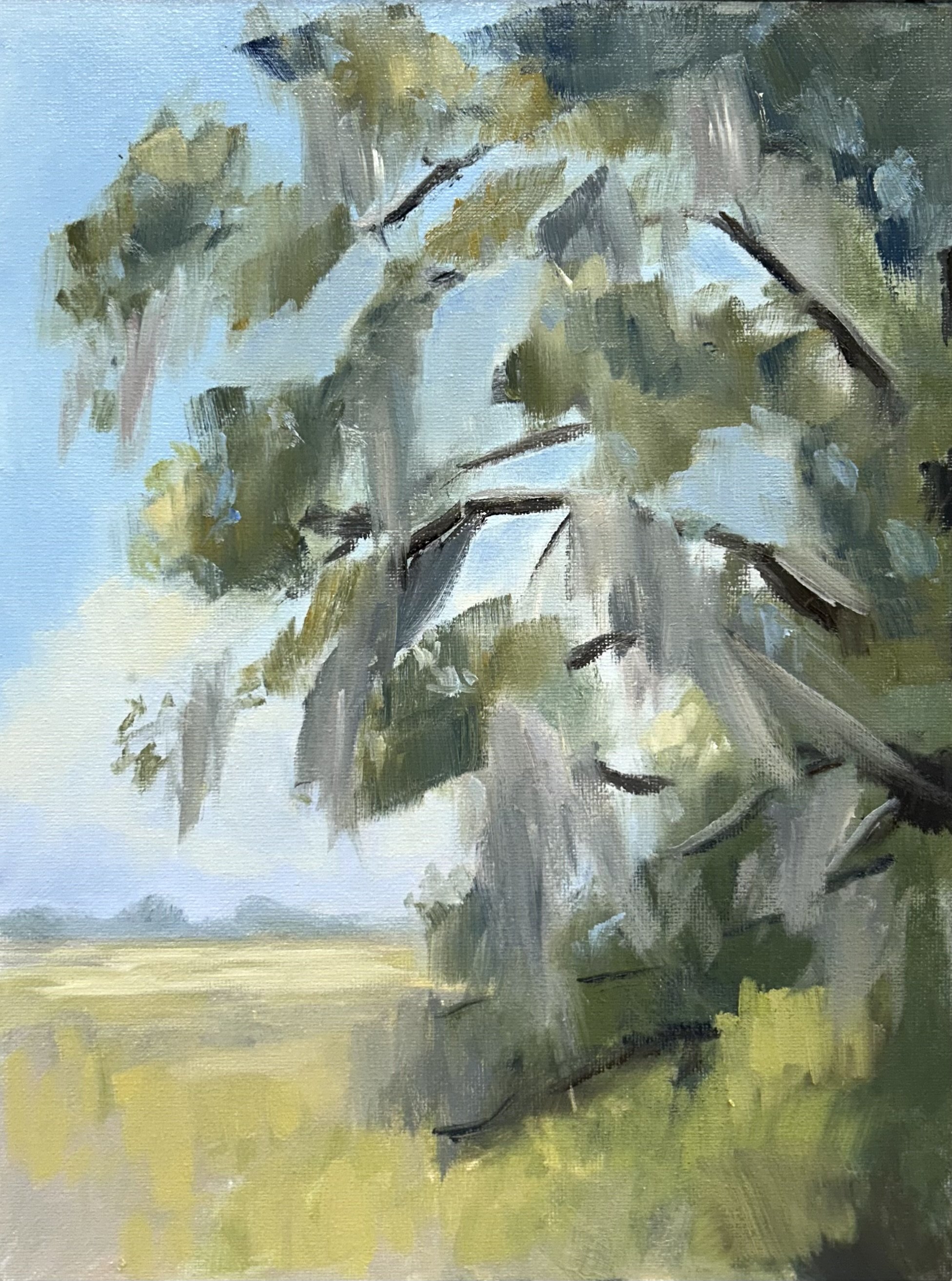 Lowcountry Impressions | 9x12 inches | Oil on Panel, 2026