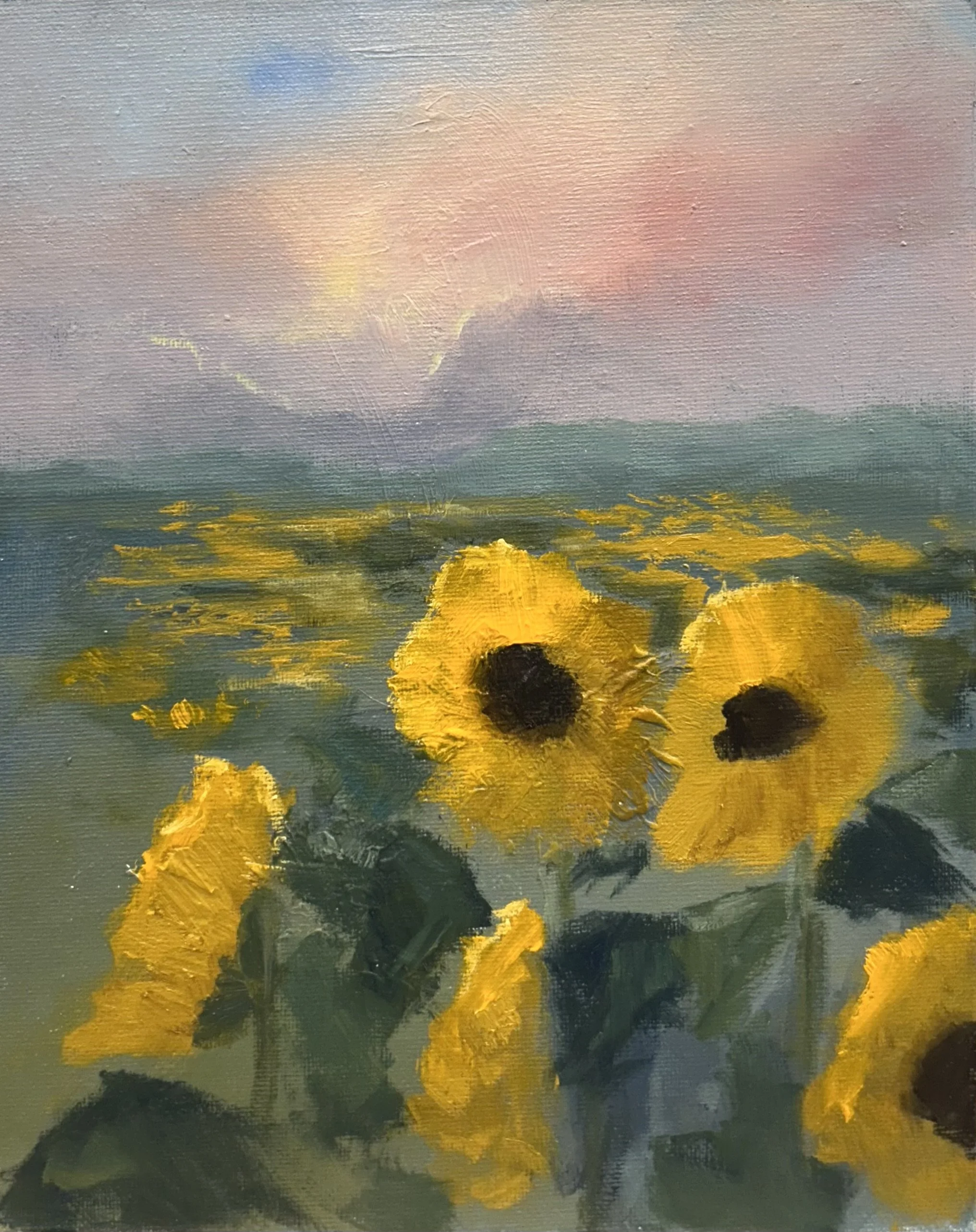 Field of Sunflowers | 8x10 inches | Oil on Panel, 2026