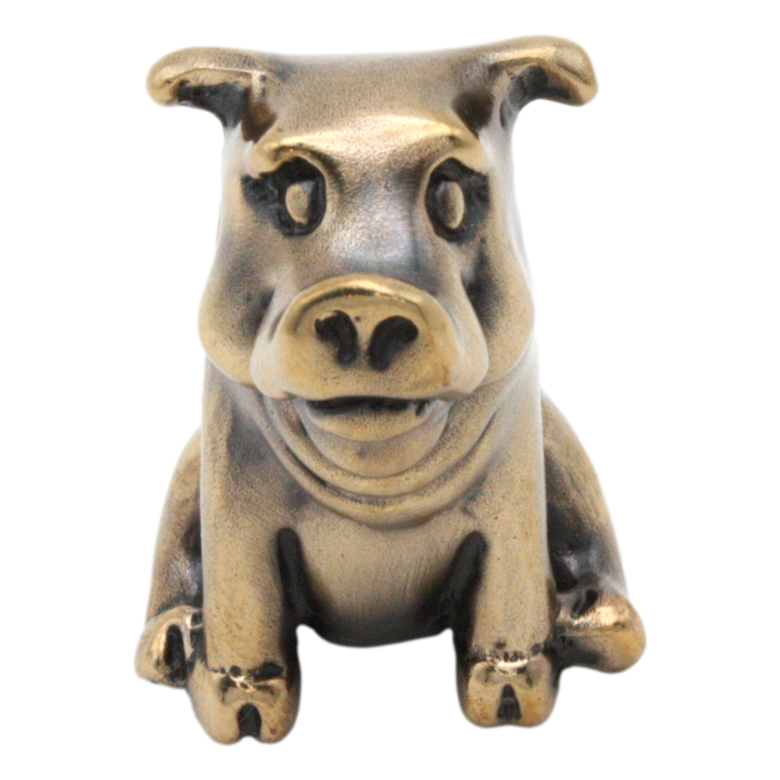 Pigs