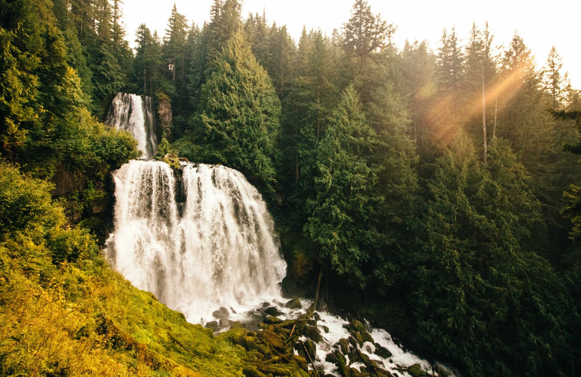 A lush green forest with a cascading waterfall and sunlight filtering through the tall trees.