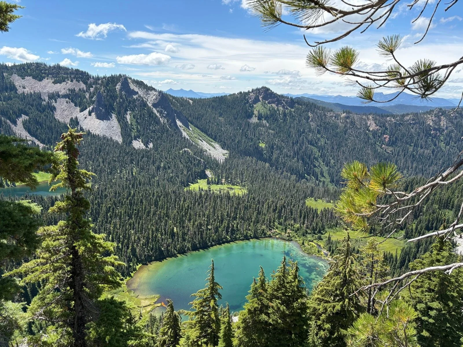 A scenic view of a forested mountain landscape with a small lake, cloudy sky, and distant mountain peaks, framed by pine tree branches in the foreground.
