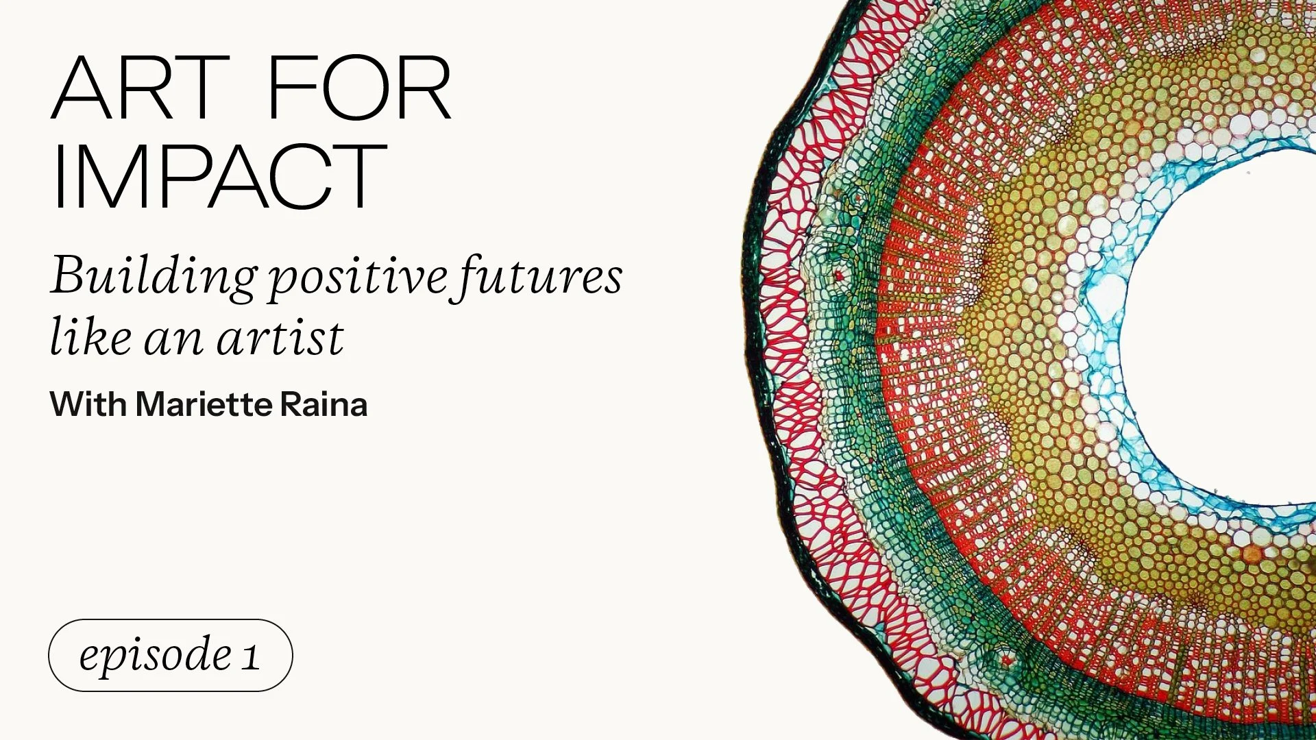 Art for Impact