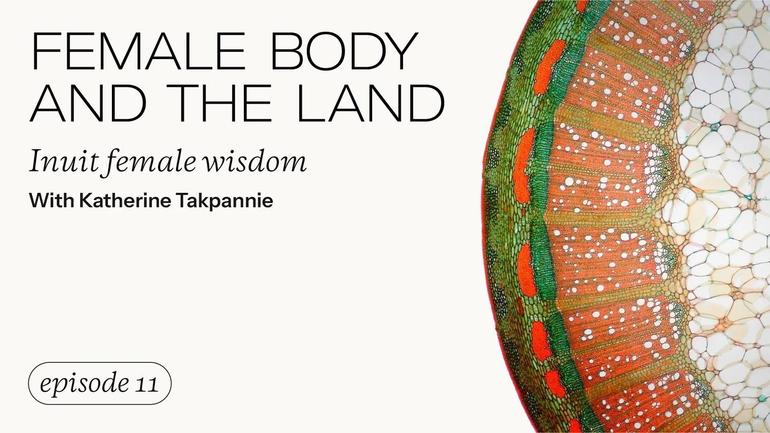 EPISODE 11 EPISODE 11