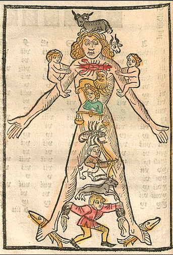 ASTROLOGÍA PRIMER NIVEL