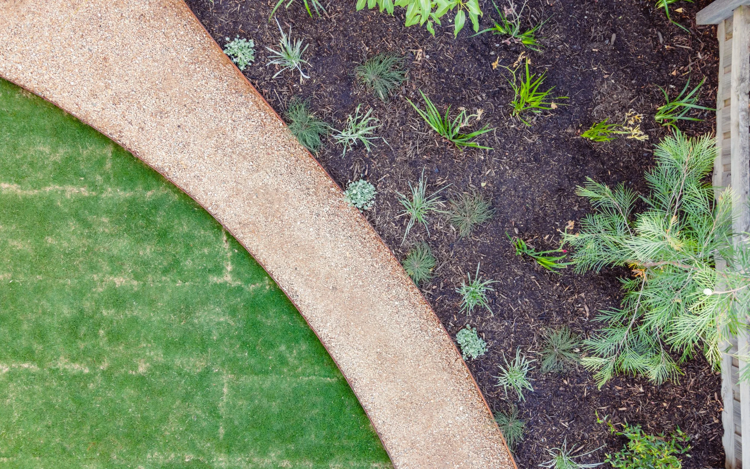 chlorophilia-extras-230424-1.jpg