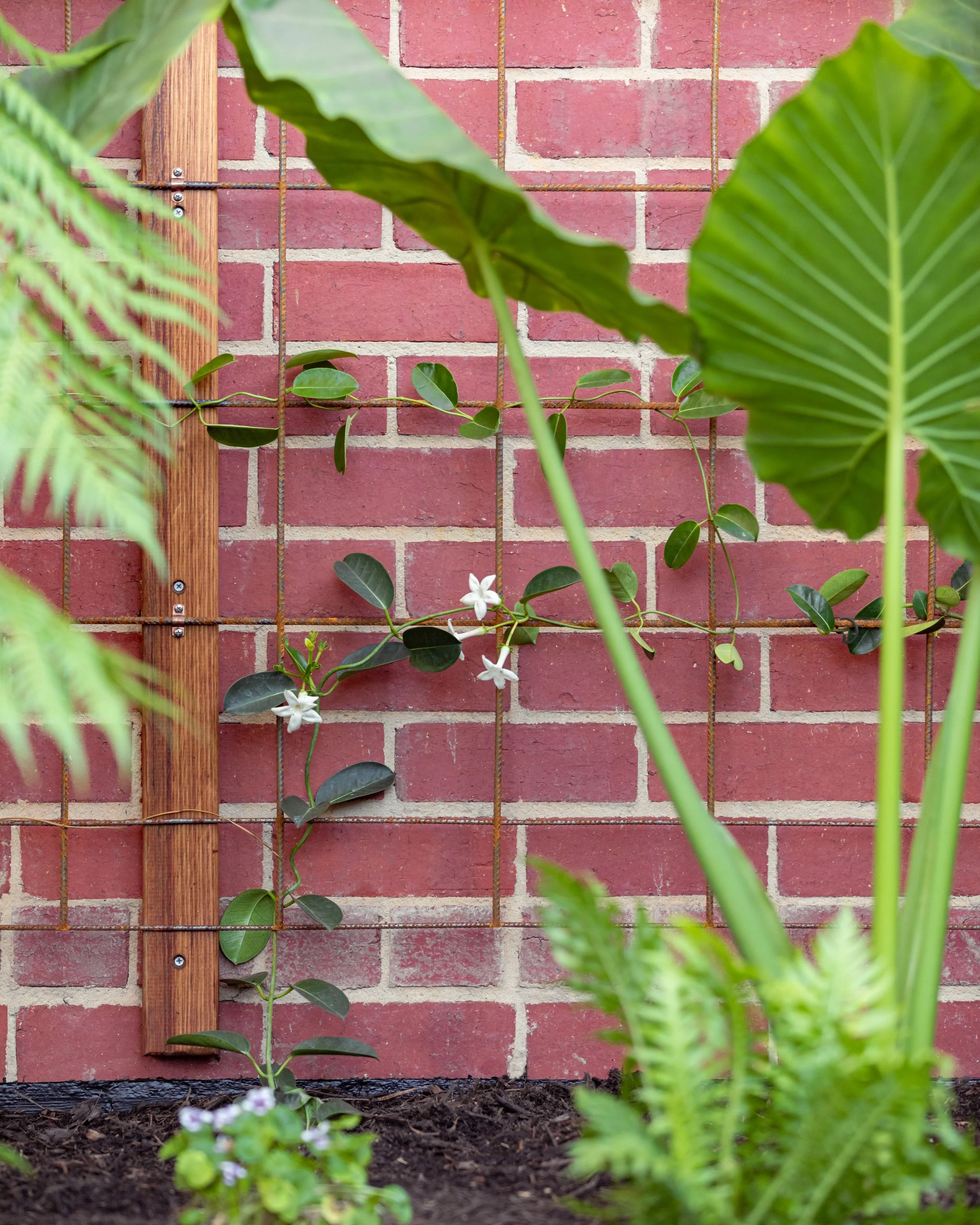 chlorophilia-edits-230424-38.jpg