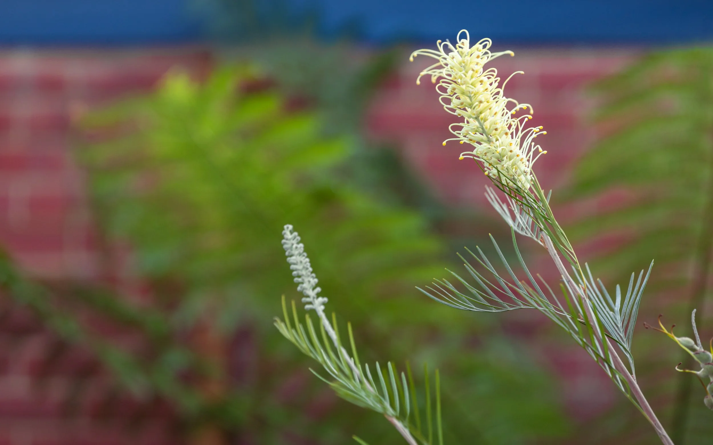 chlorophilia-edits-230424-24.jpg