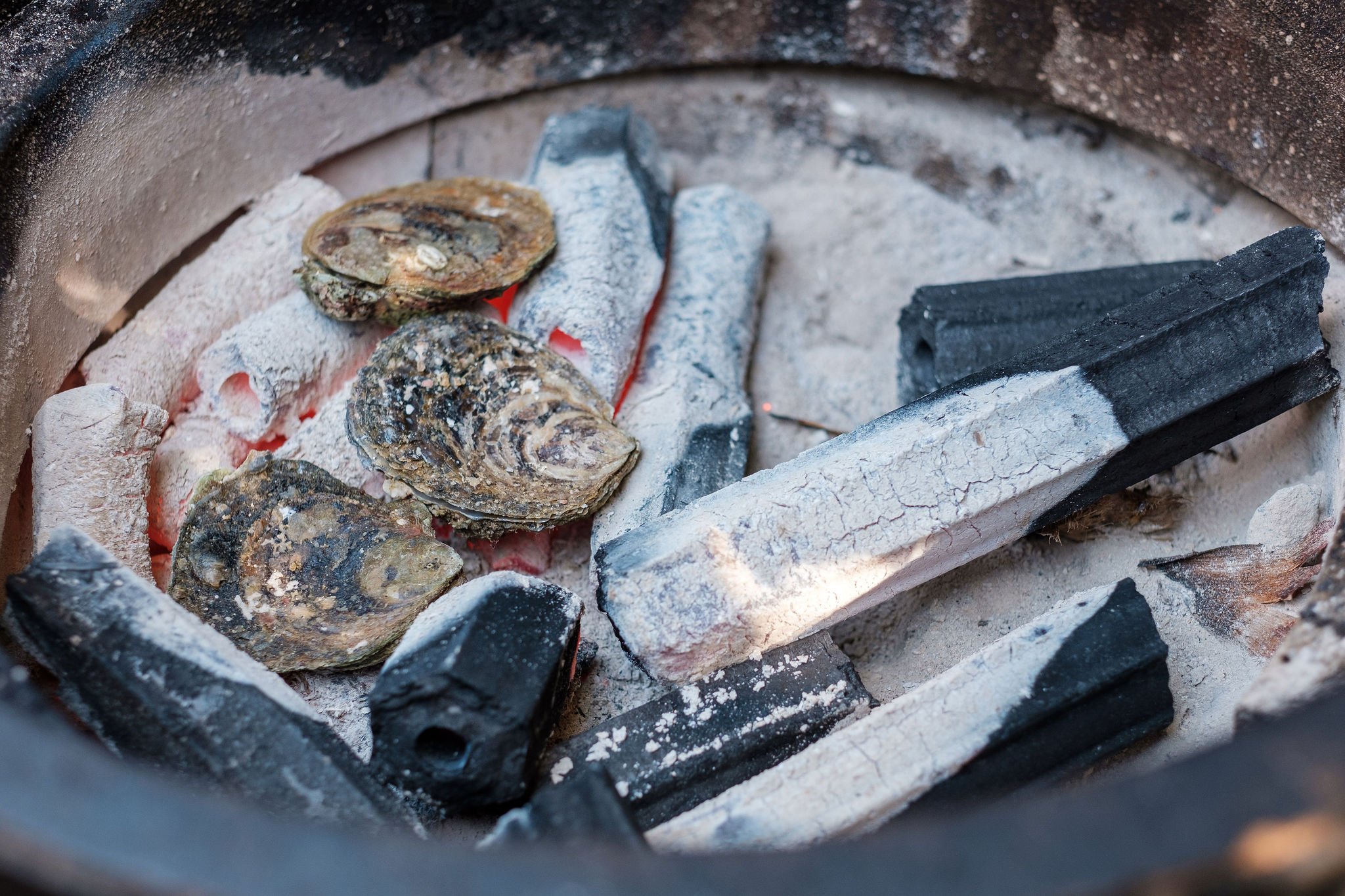 NZ Restaurant Photography