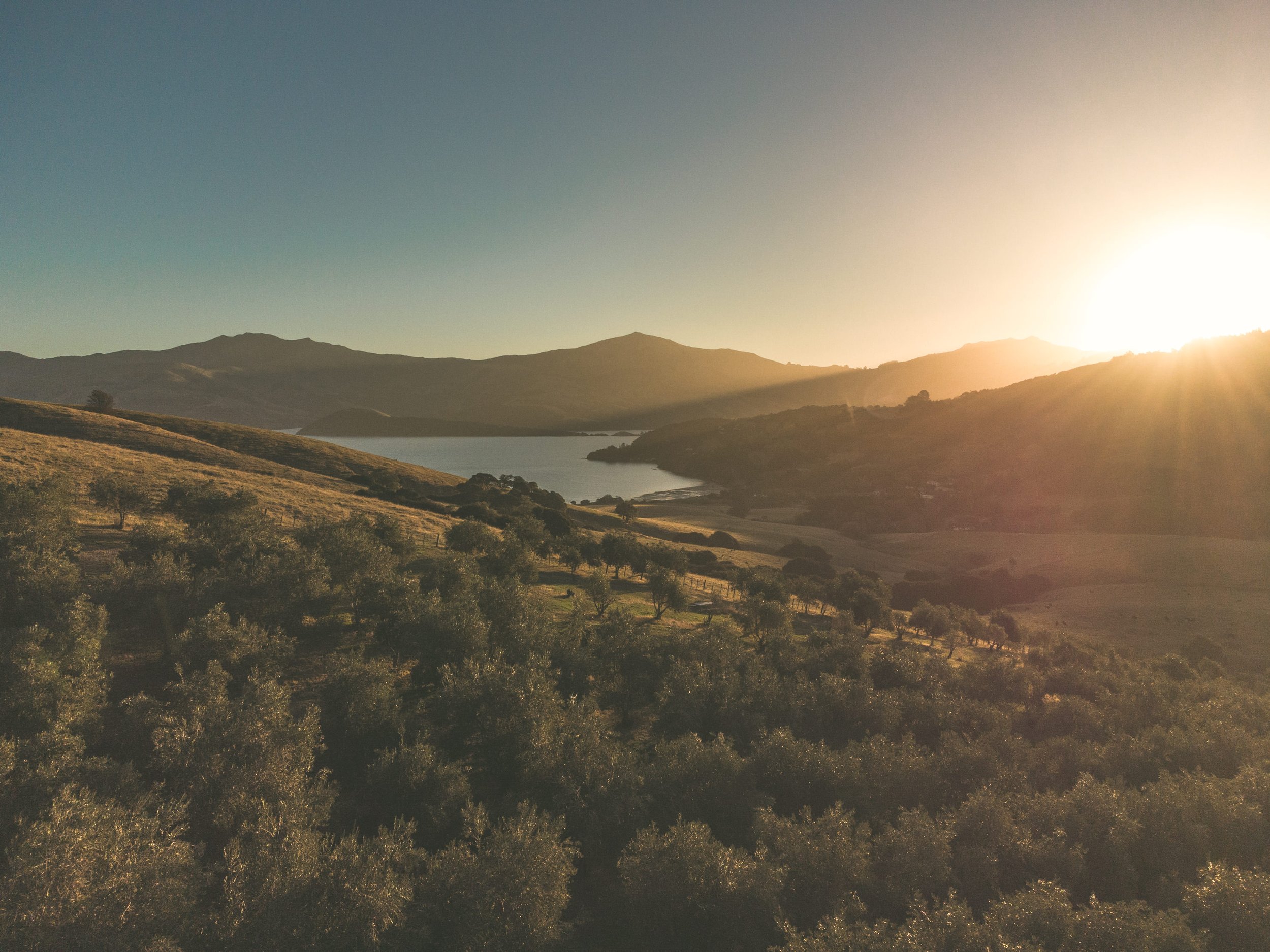 NZ Drone Photographers