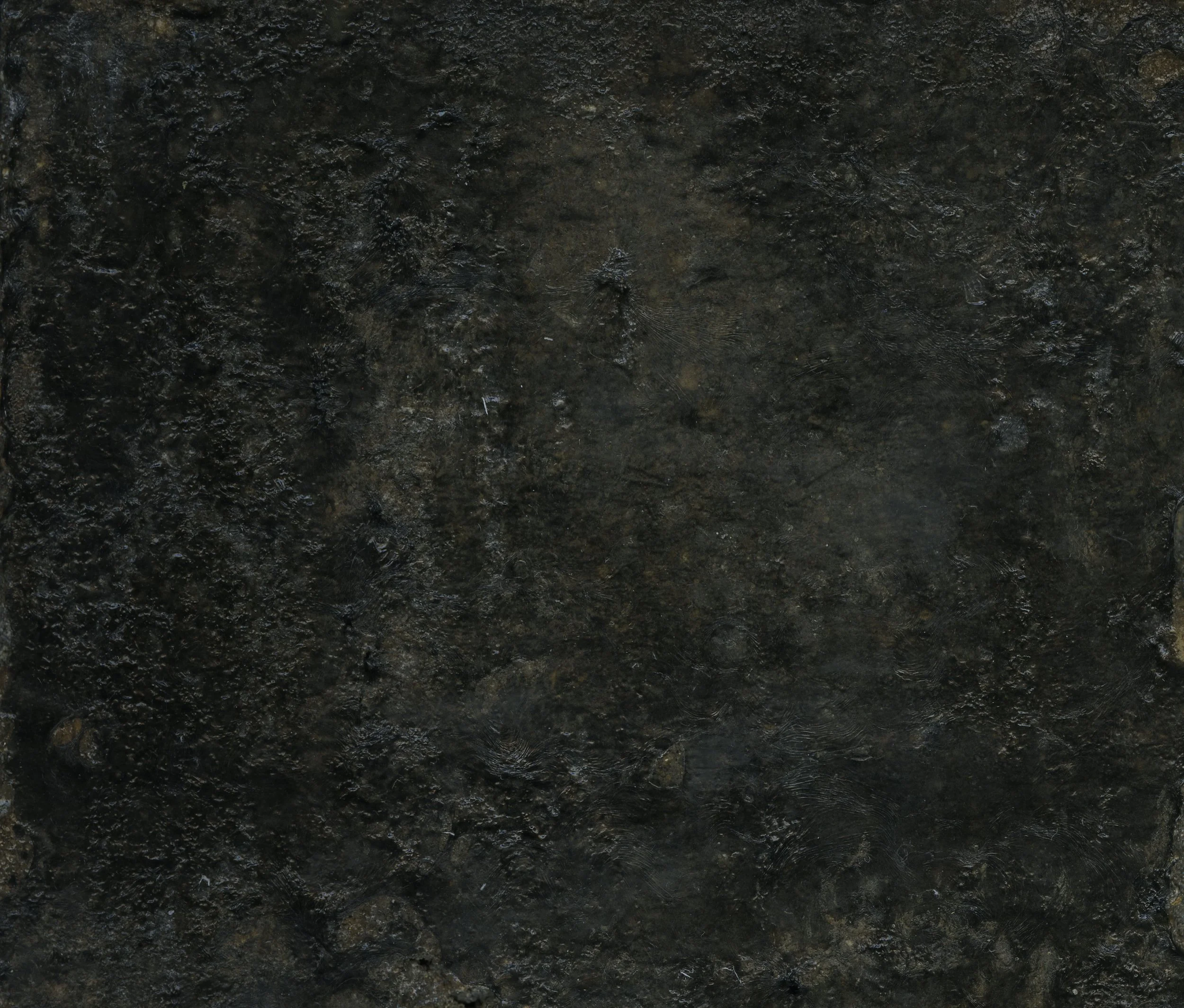 Shared Trail #6 (concrete print)