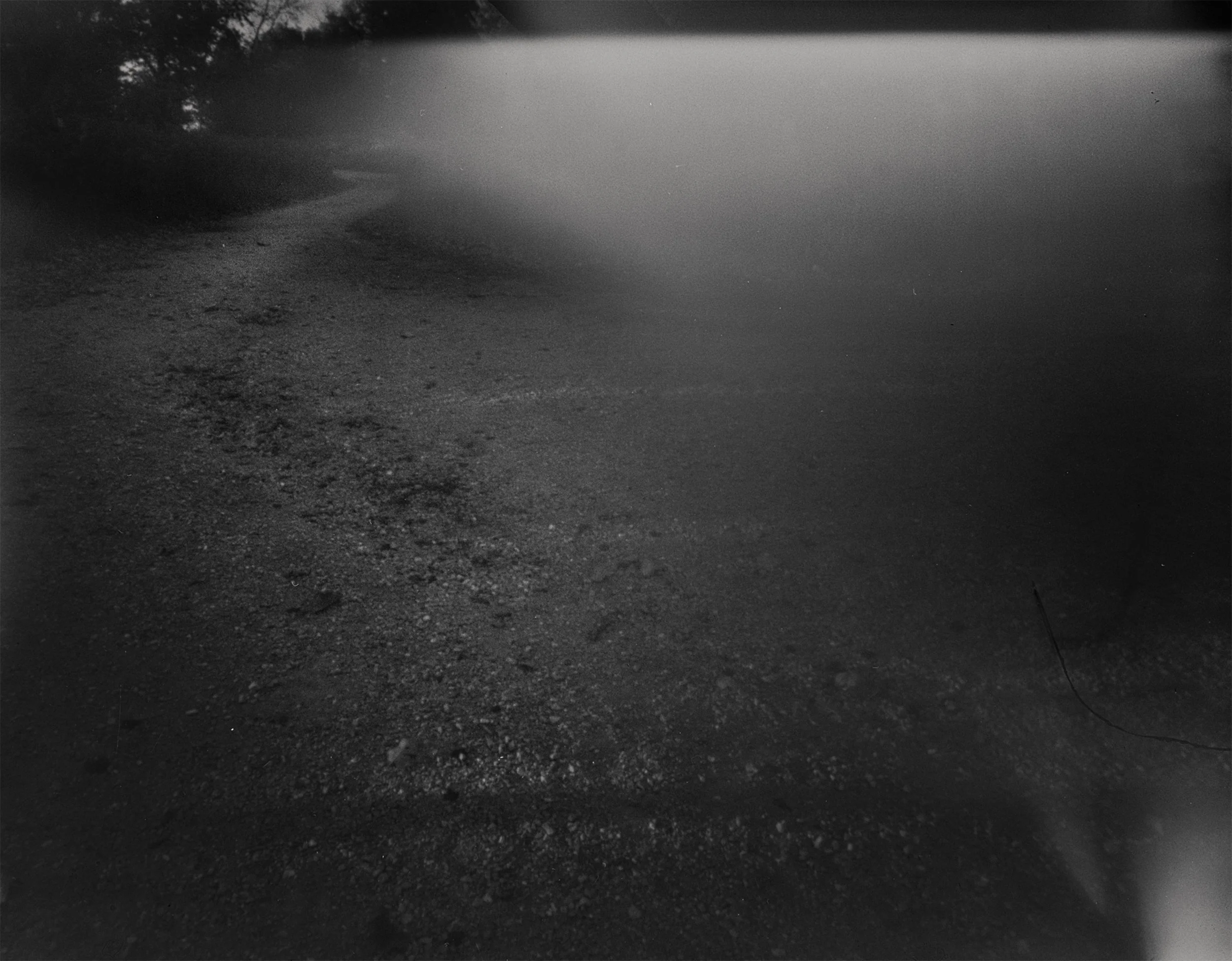 Shared Trail #1 (pinhole)