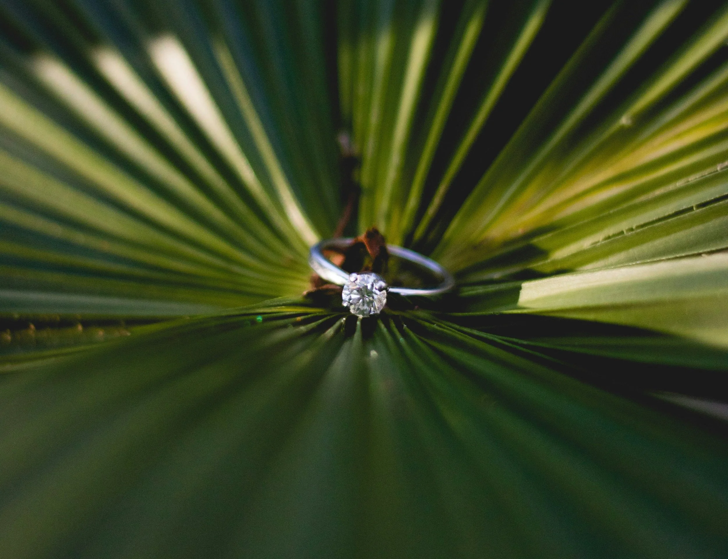 5 Tips to Make Your Wedding Proposal 5x More Likely to Lead to a Sale