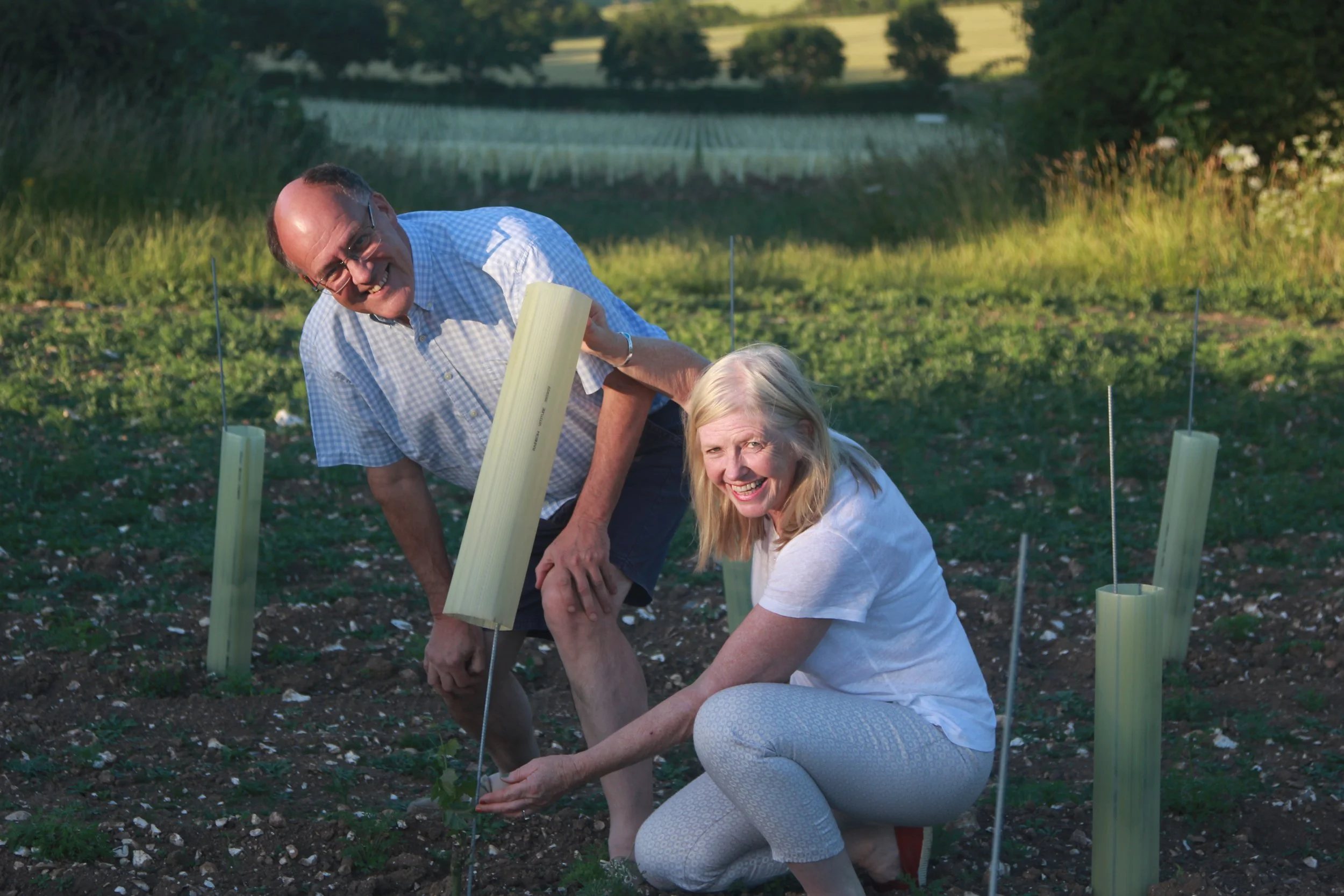 vineyard weeding event near winchester hampshire vineyard day out for the family