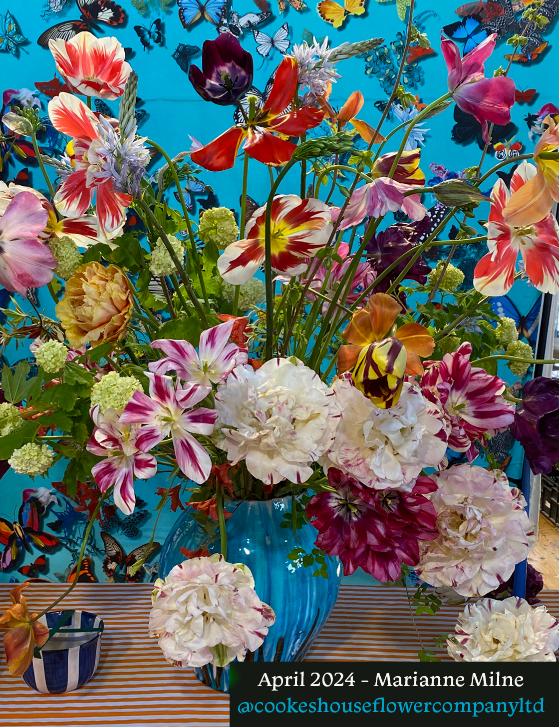 April 2024 Cookes House.png