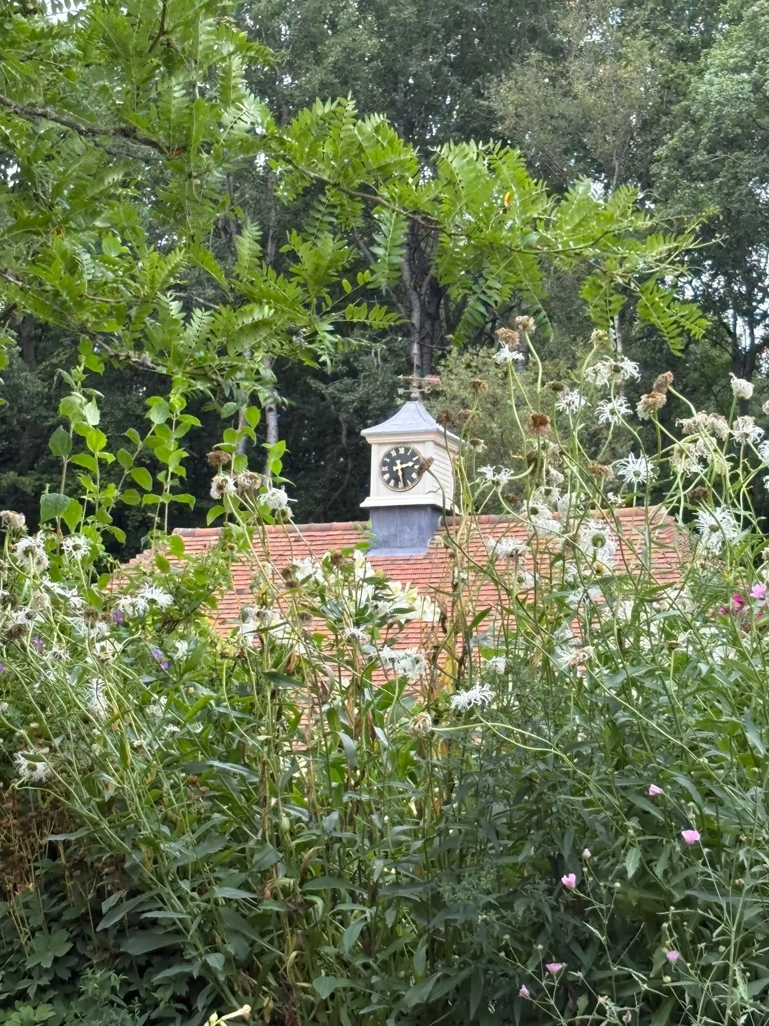 WhatsApp Image 2025-07-29 at 15.11.51 (2).jpeg