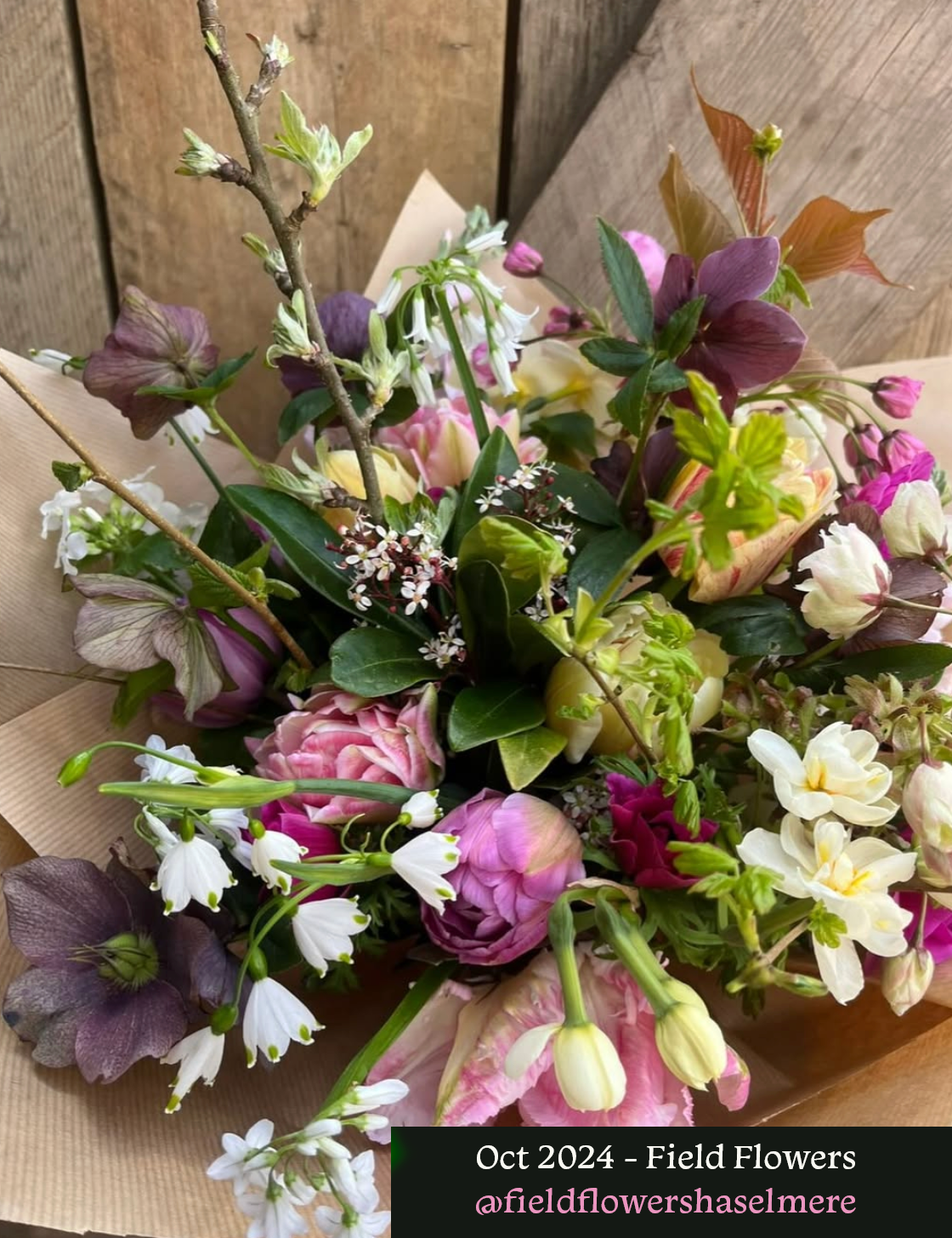 Oct 2024 Field Flowers.png