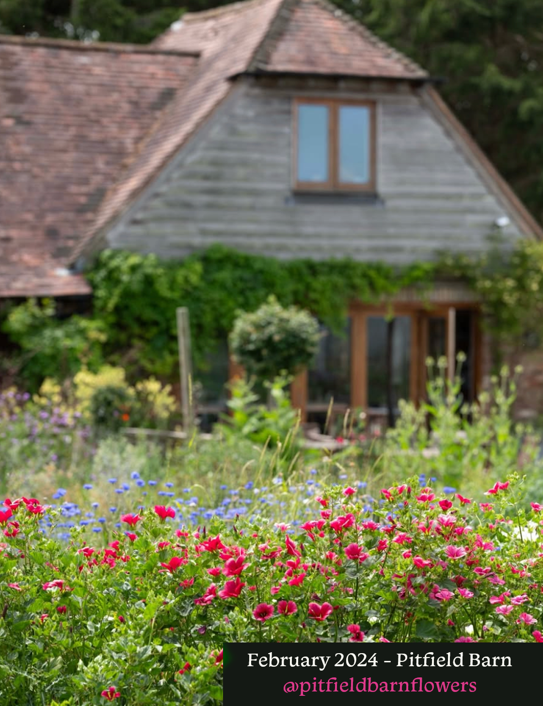 Feb 2024 Pitfield Barn Flowers.png
