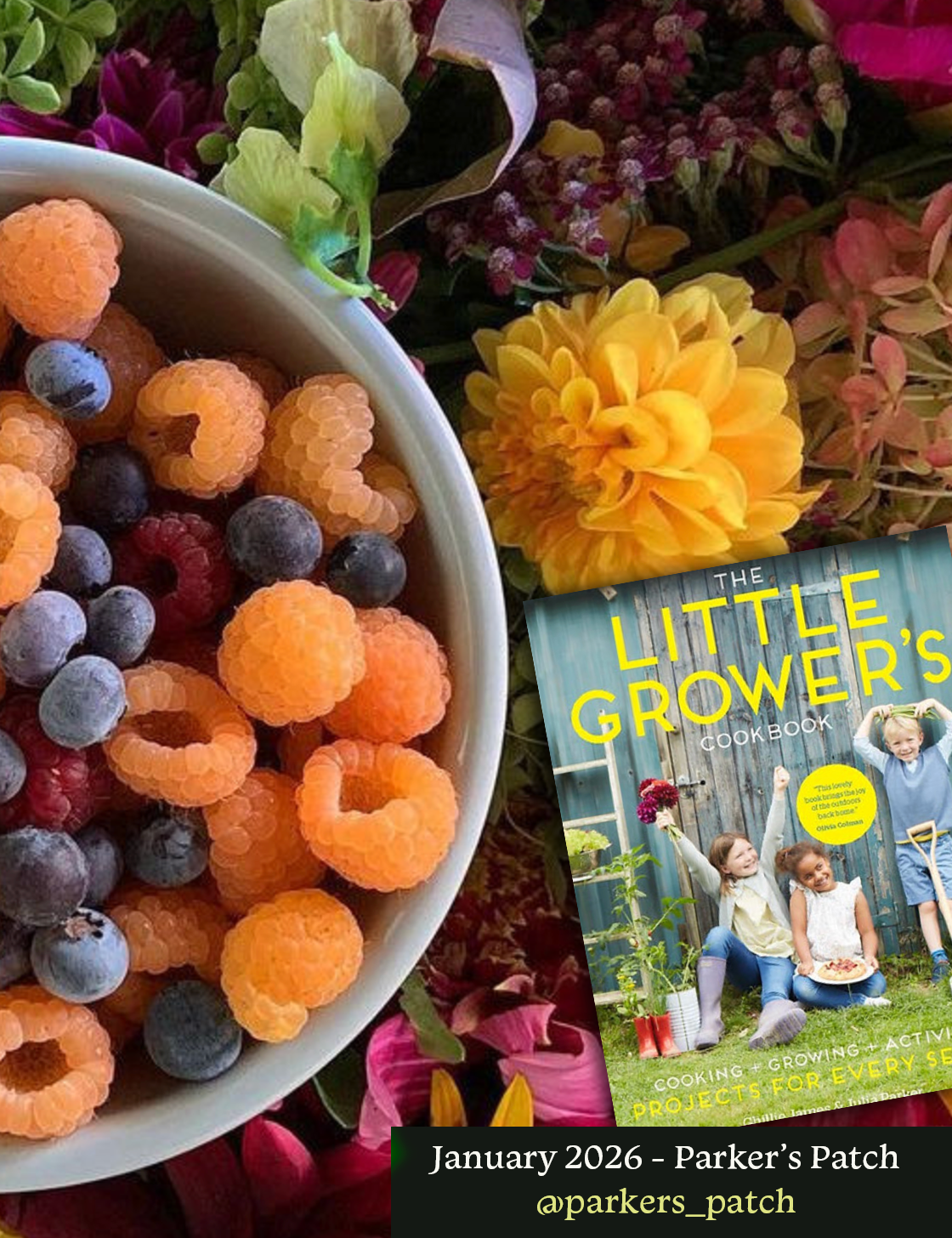 Jan 2026 Parker's Patch.png