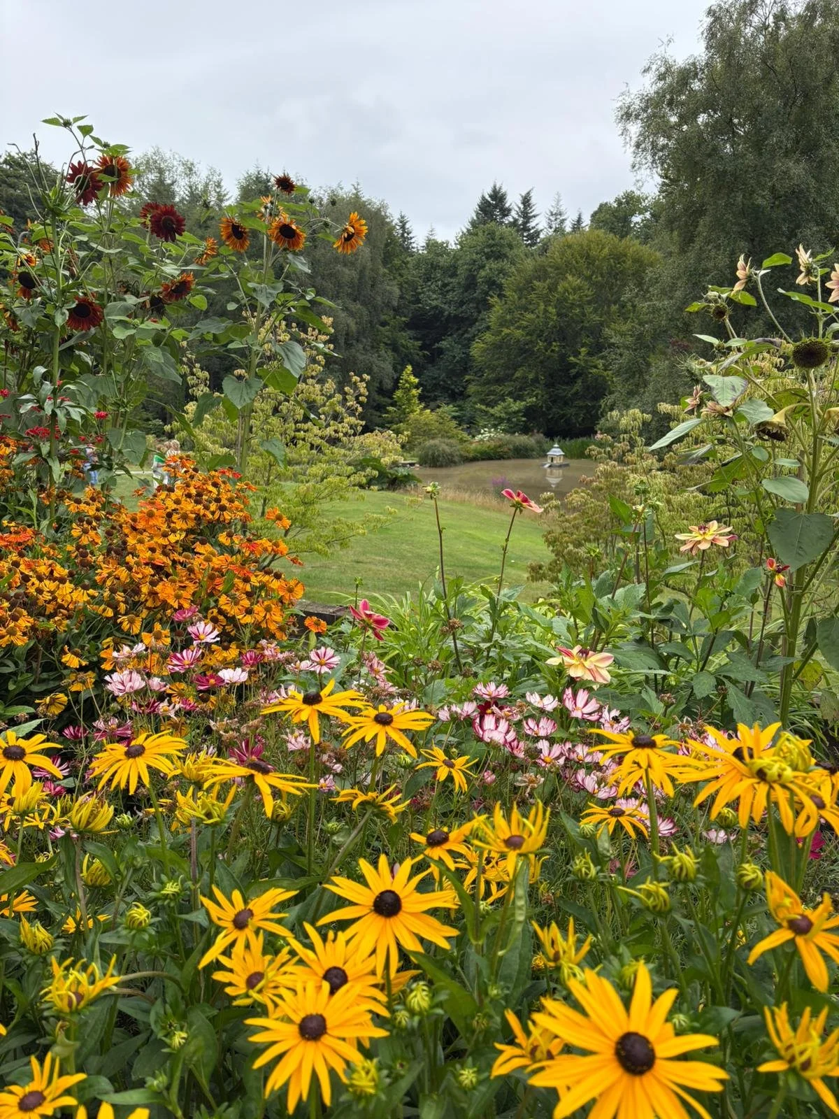 WhatsApp Image 2025-07-29 at 15.31.53.jpeg