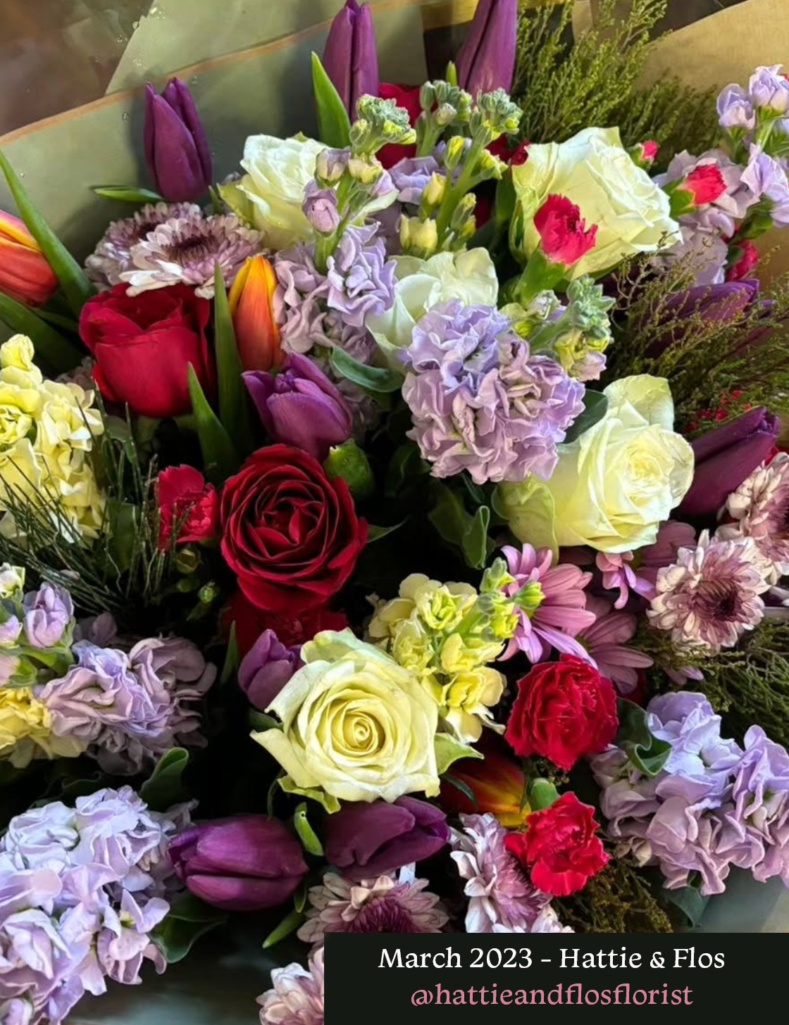 March 2023 Hattie & Flos.png