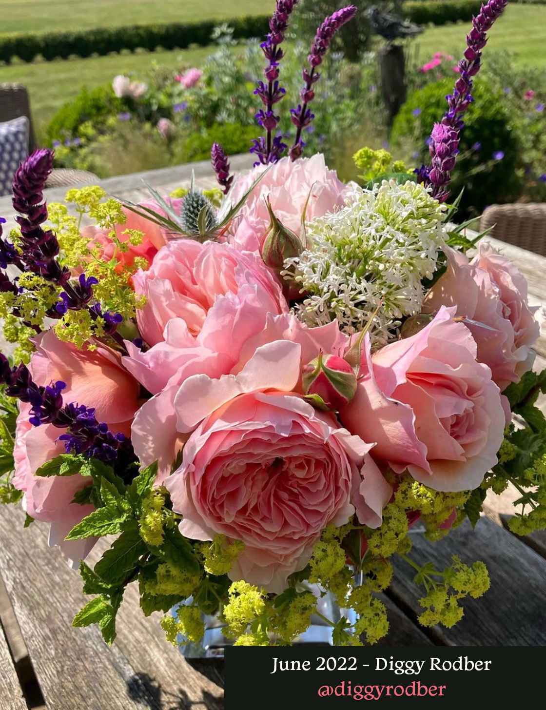 June 2022 Diggy Rodber.png