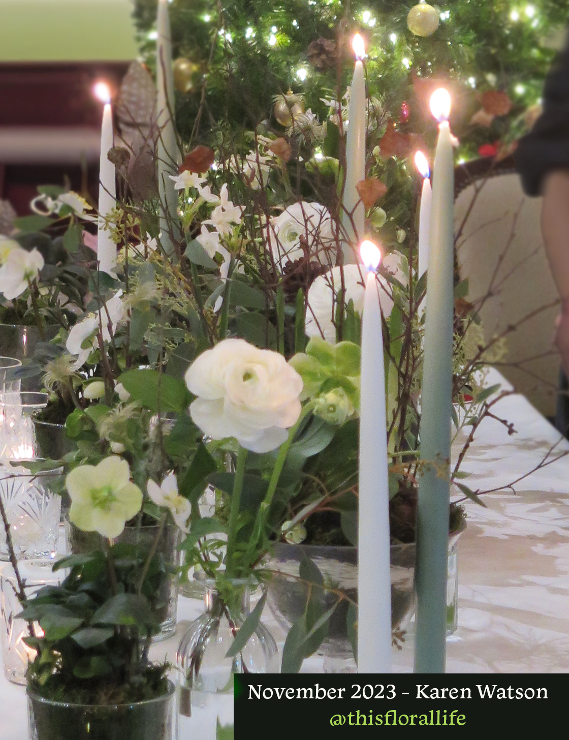 Nov 2023 Karen Watson.png