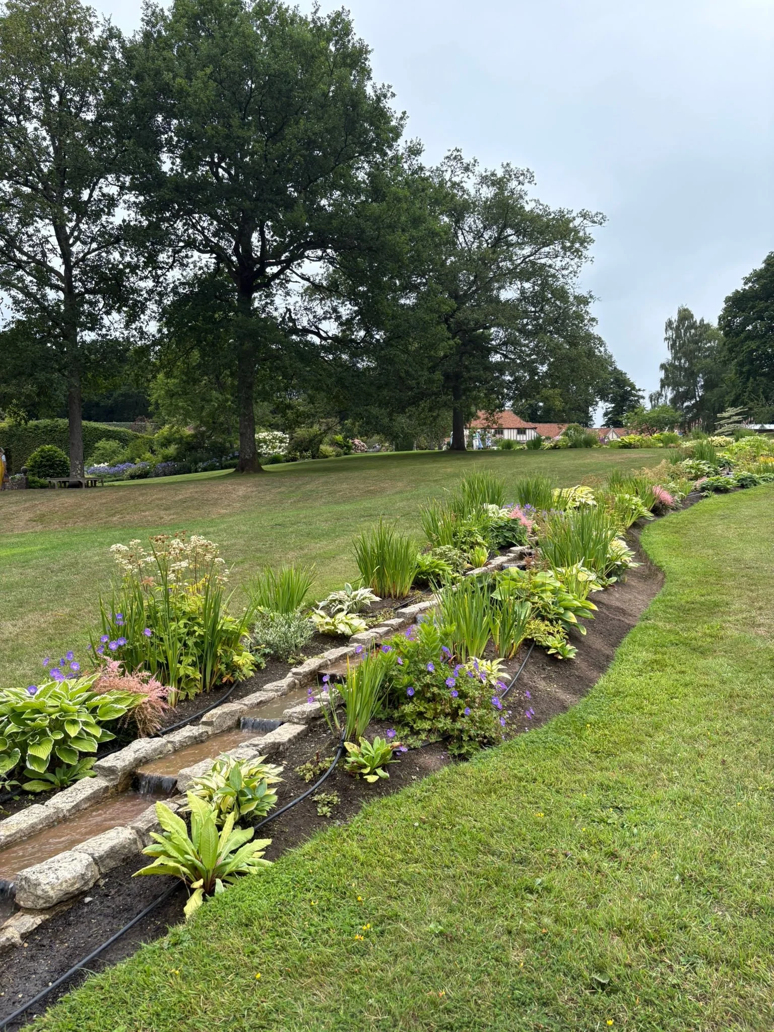 WhatsApp Image 2025-07-29 at 15.11.54.jpeg