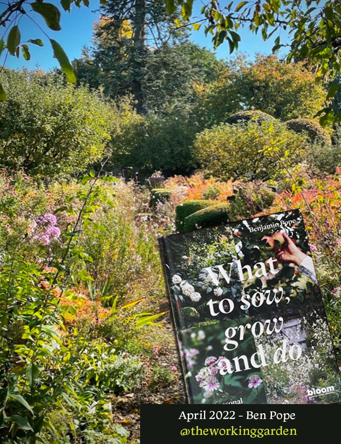 April 2022 Ben Pope.png