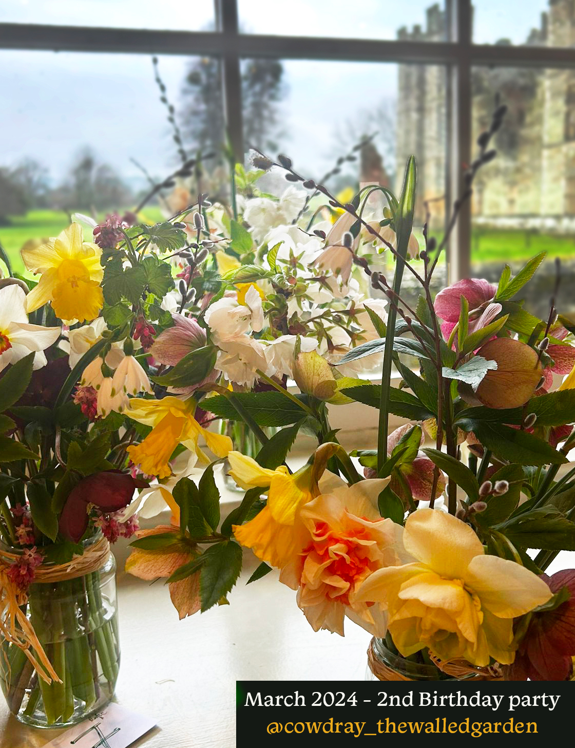 March 2024 2nd birthday.png