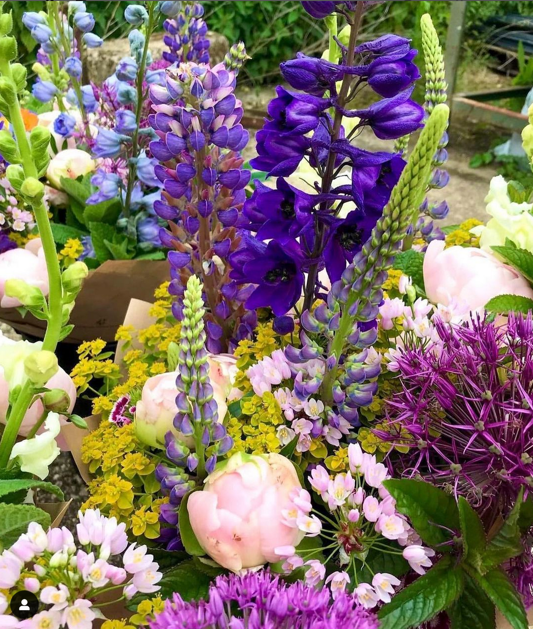 Flowers by Jo Craig @midhurstflowerfarm
