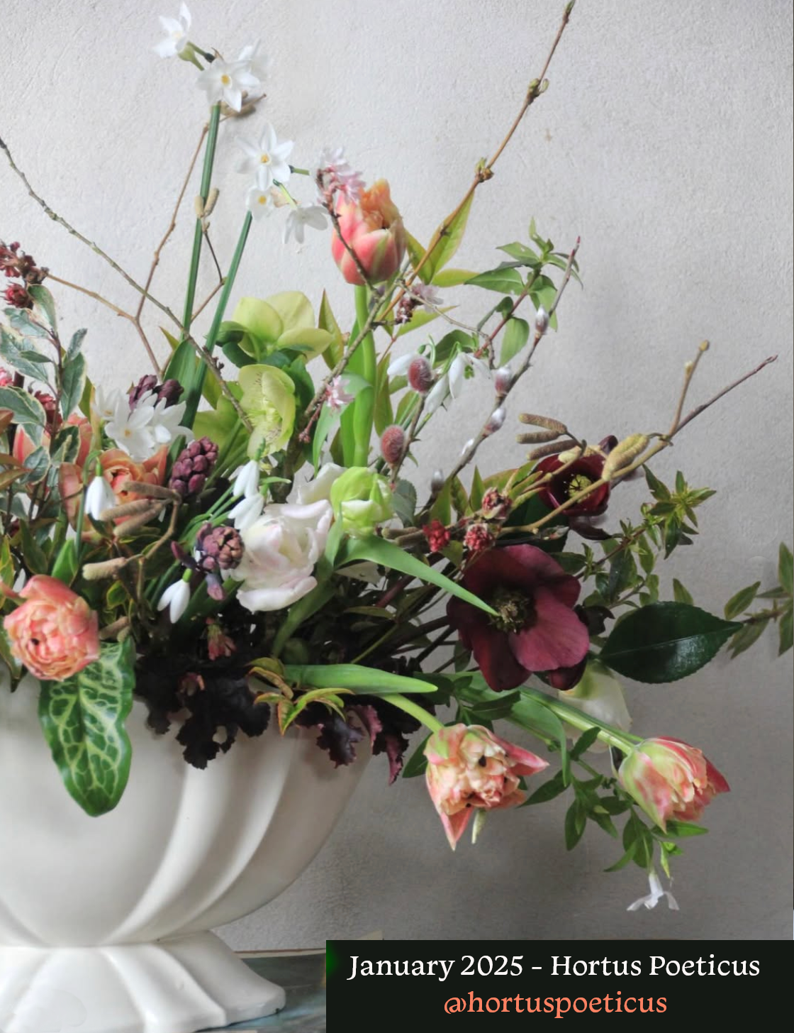 Jan 2025 Hortus Poeticus.png