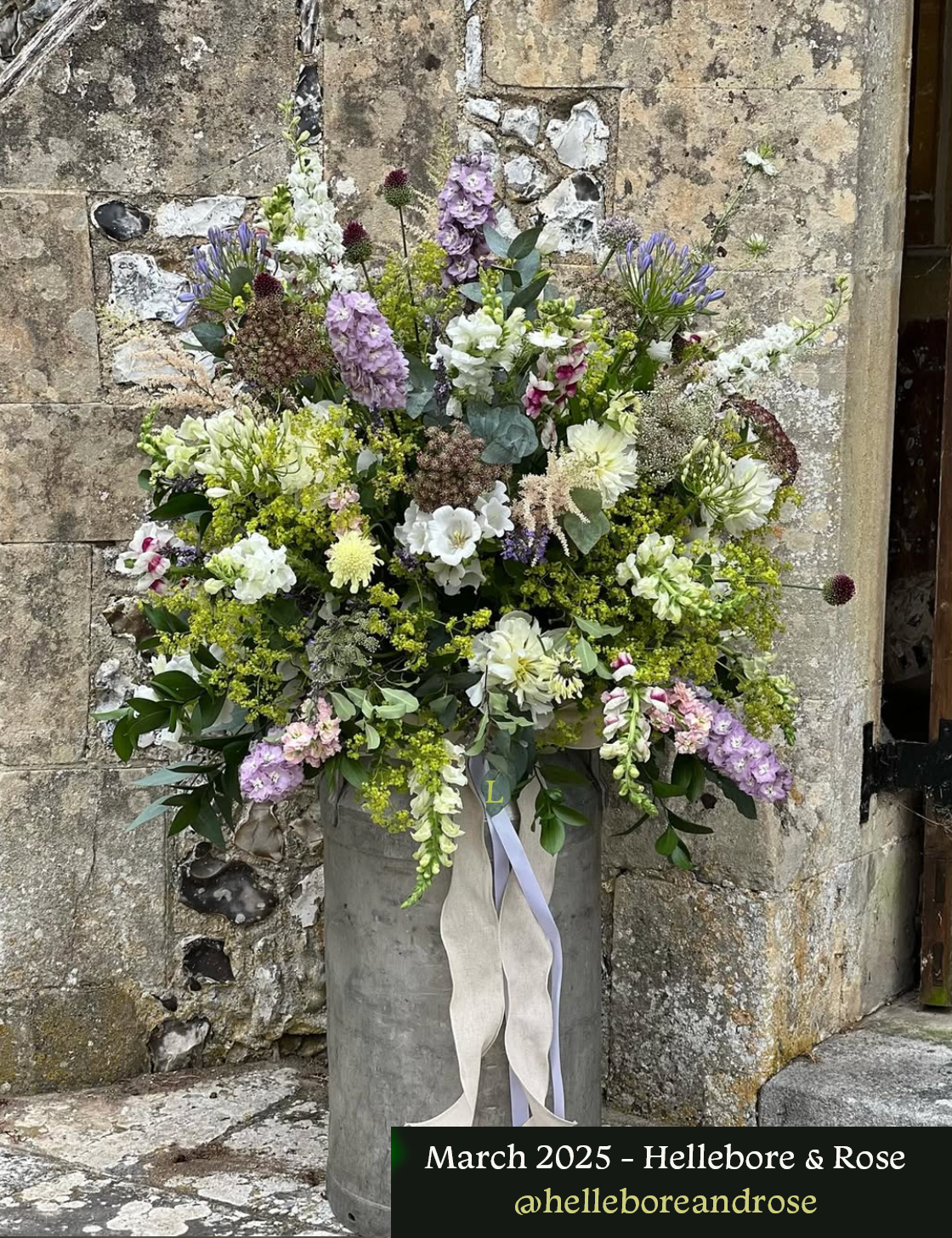 Mar 2025 Hellebore & Rose.png