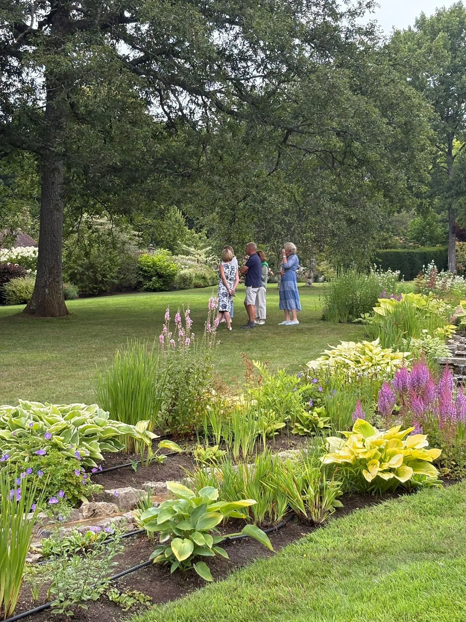 WhatsApp Image 2025-07-29 at 15.11.54 (1).jpeg