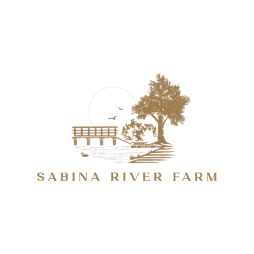 Logo of a fireworks display with the text "Steady & Calm" beneath it.