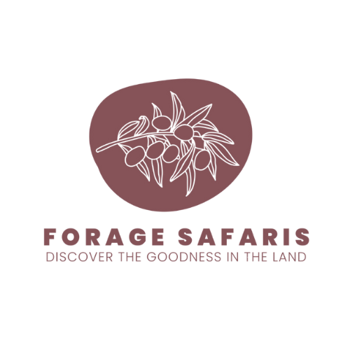 Logo for Forge Safaris featuring a stylized lion's face in a circle with the slogan 'Discover the goodness in the land' underneath.