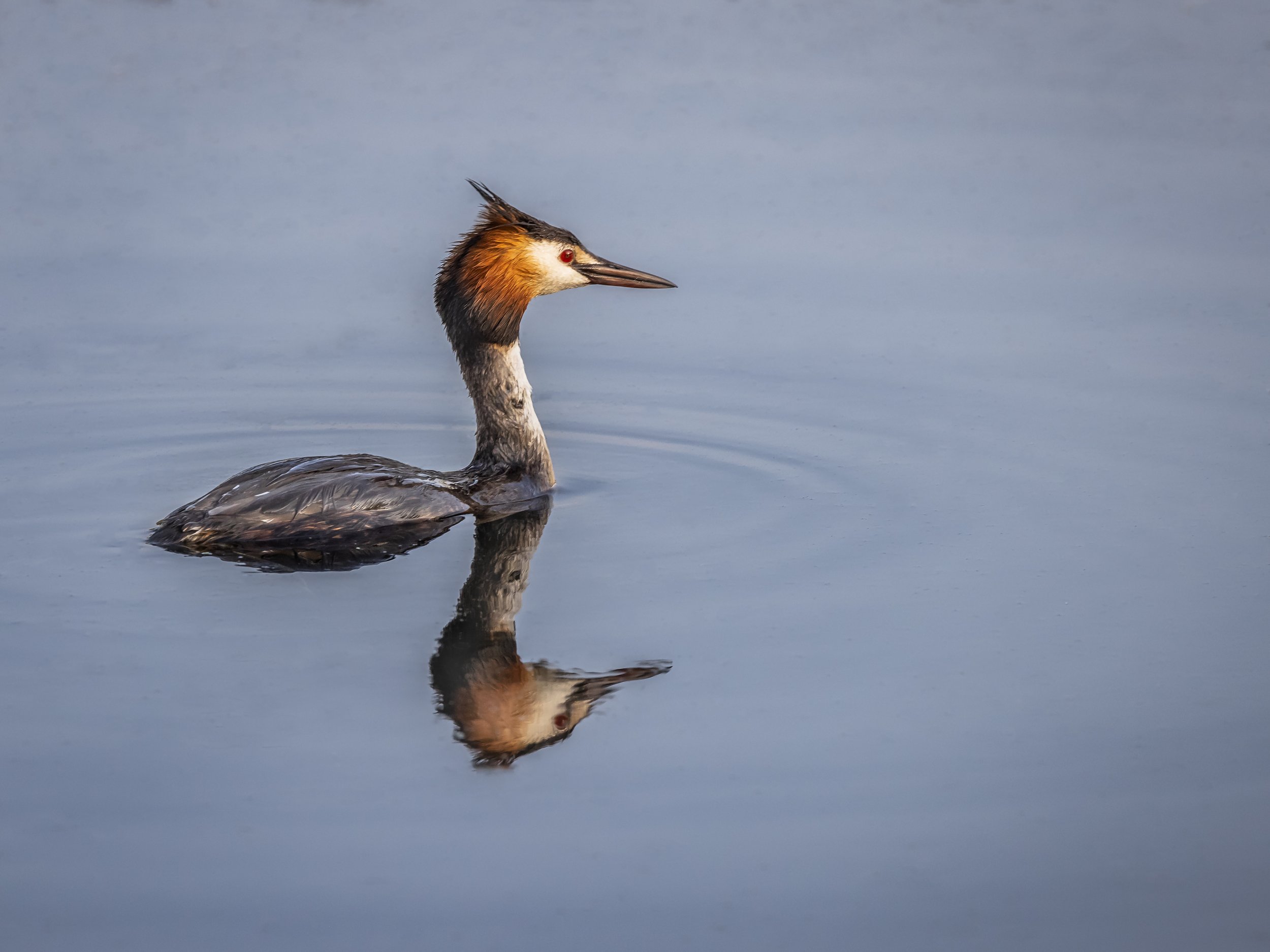 2P7A6339-Edit.jpg