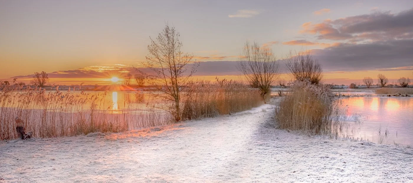 Beauty of the Beast from the East#Steve Coomesjpg.jpg