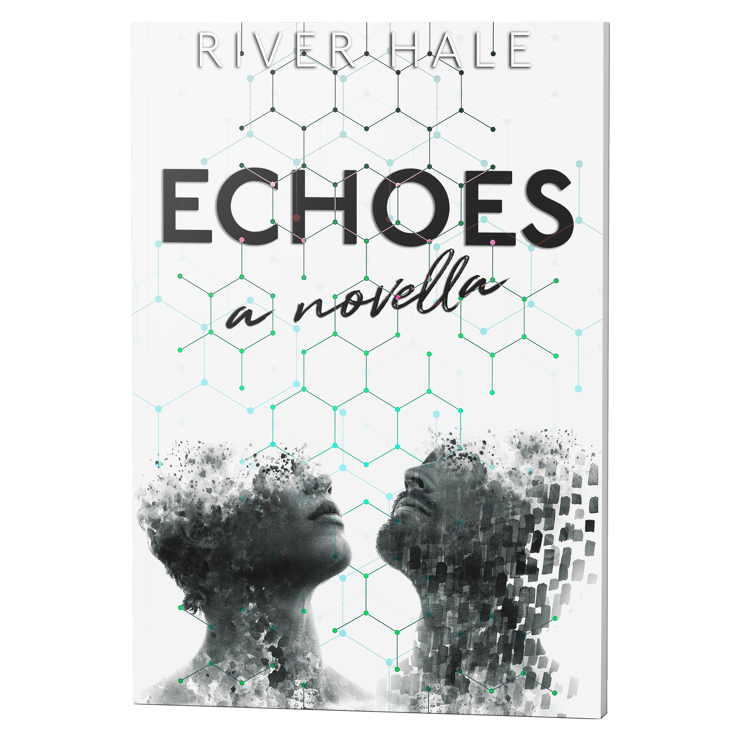 novella mockup.png