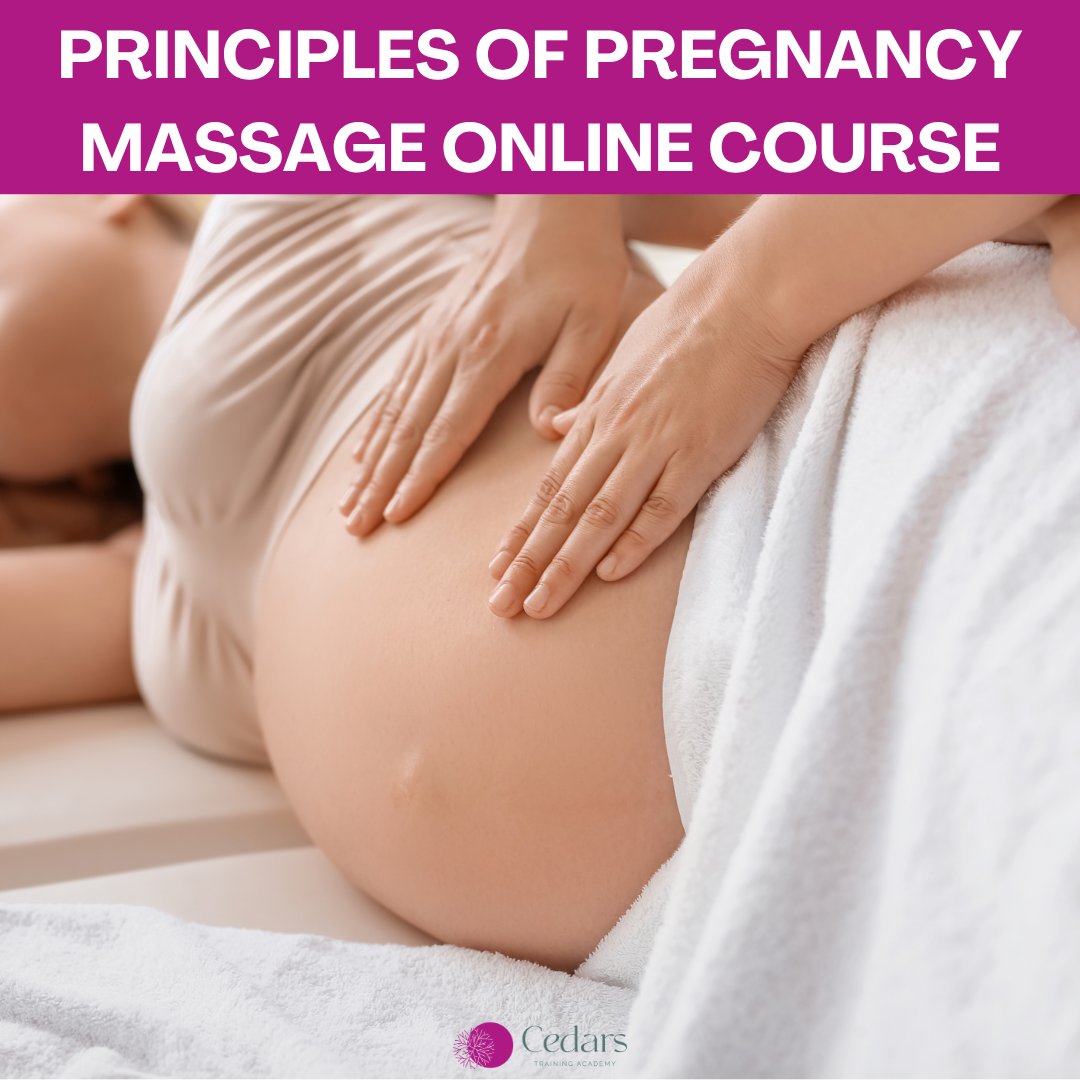 Principles of Pregnancy Massage Online Course