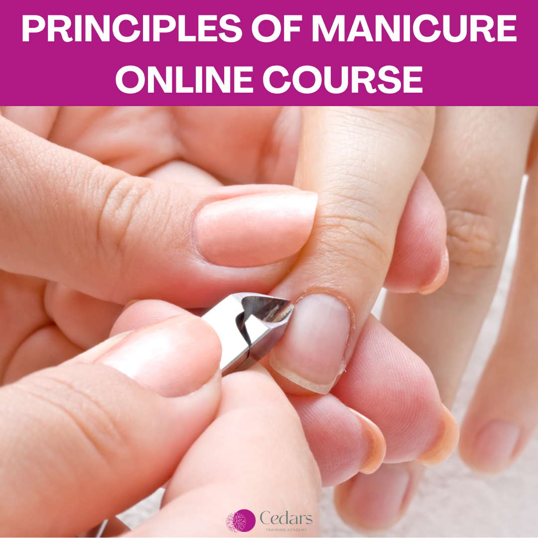 Principles of Manicure Online Course